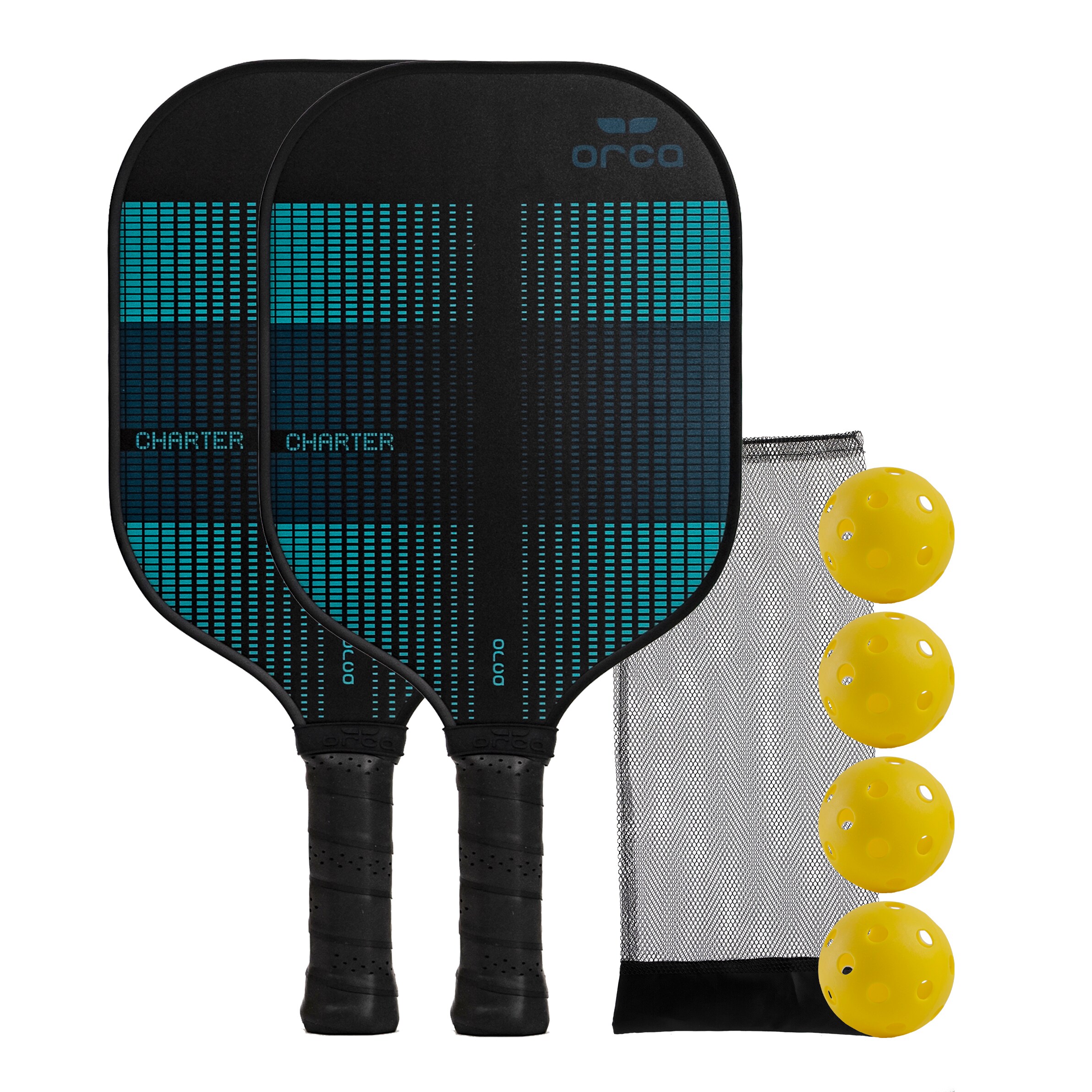 Franklin Sports Portable Pickleball Set with Net, Paddles, and Balls - Half  Court Size for Outdoor Fun and Easy Transport in the Sports Equipment  department at