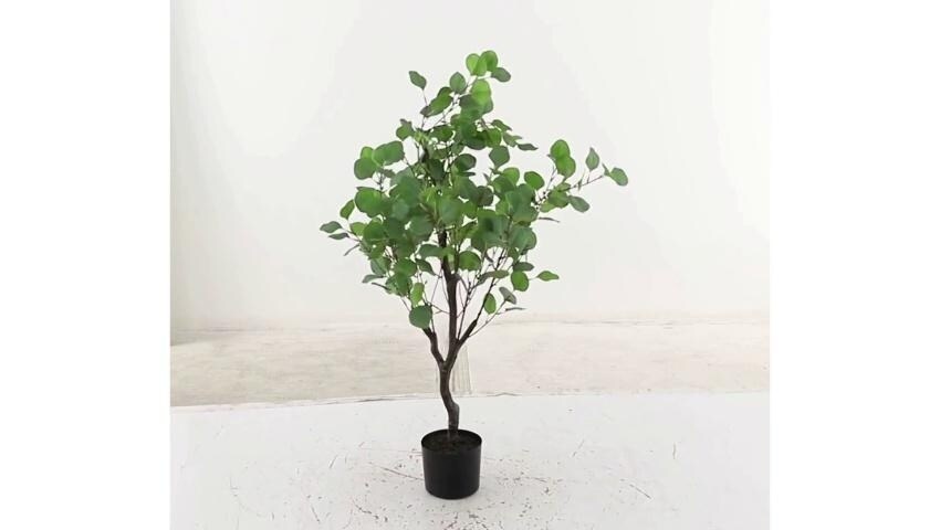 A thumbnail for the video