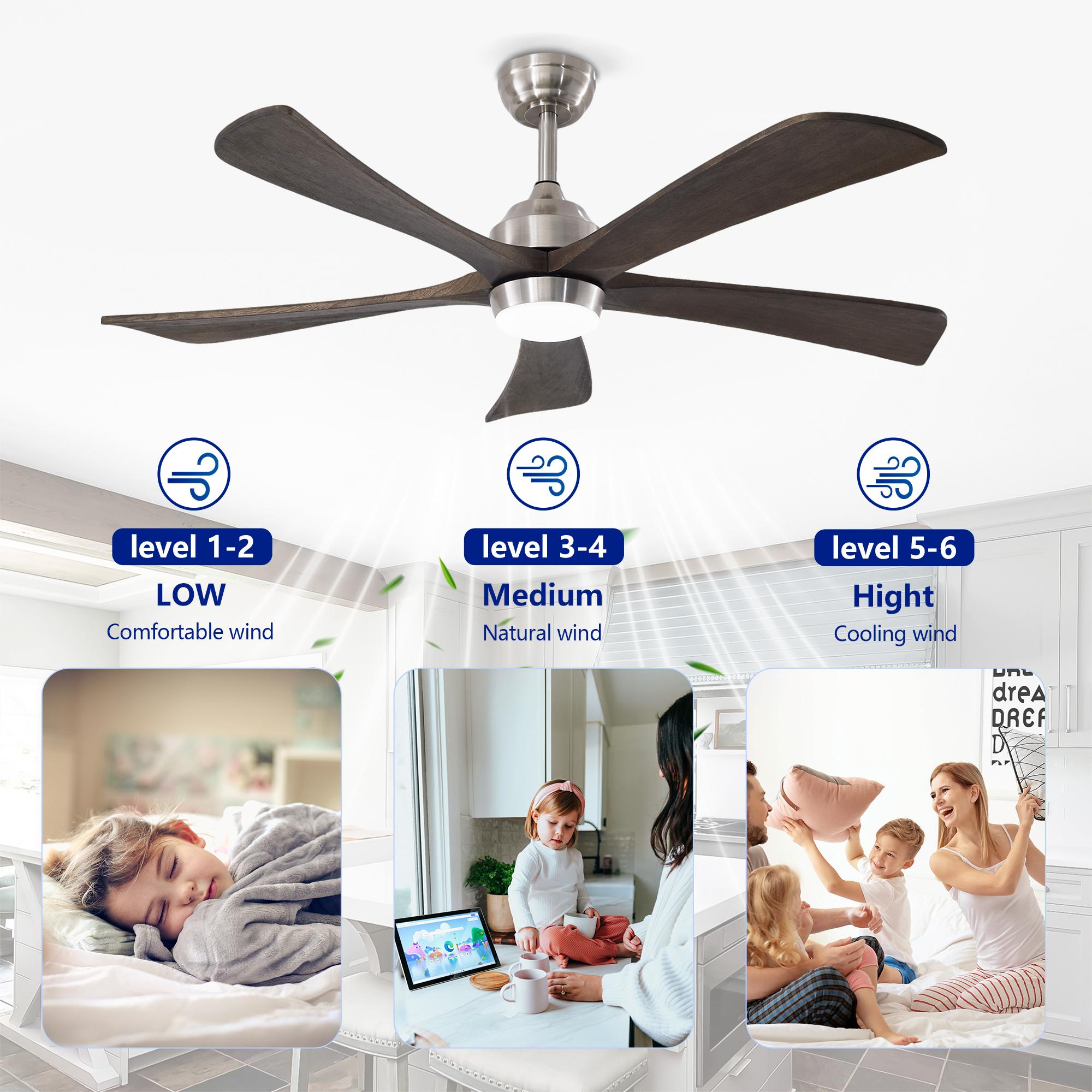 Bayfeve BF-460840-MP Ceiling-Fans - View #10