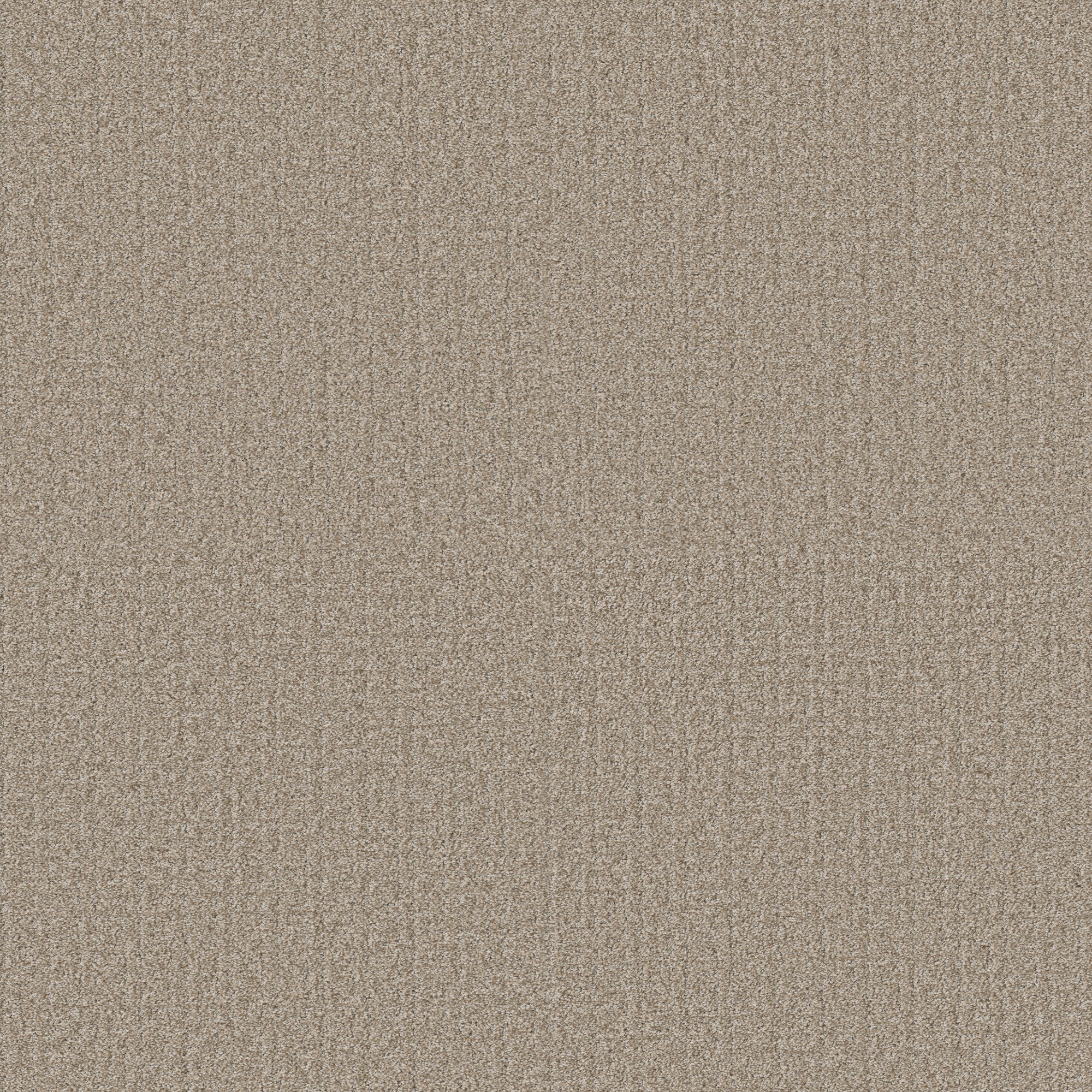 STAINMASTER PetProtect 7L93200119 with LeakDefense Shake It Off Honey Pot Tan 44-oz sq yard Polyester Pattern Indoor Carpet