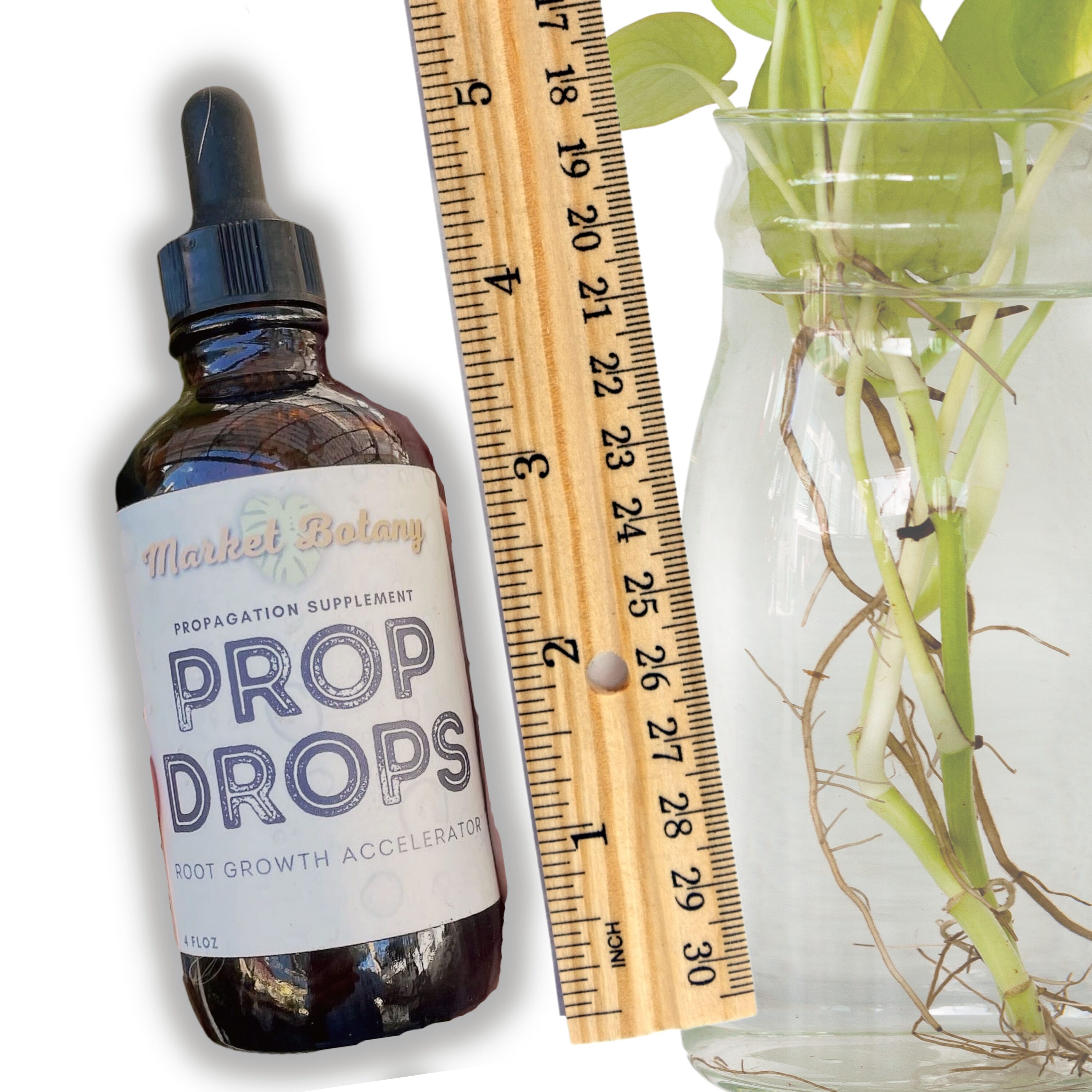 Market Botany 51295 plantcare - View #4