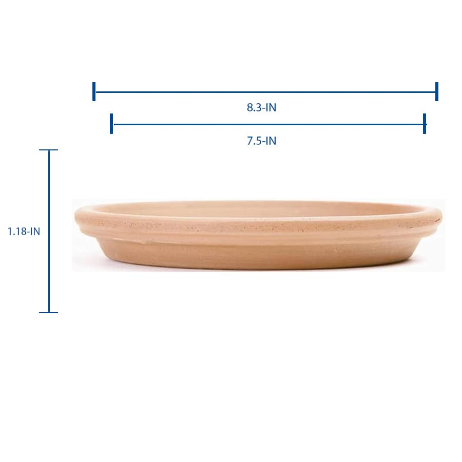 Pennington 8-in Terracotta Clay Plant Saucer At Lowes.com