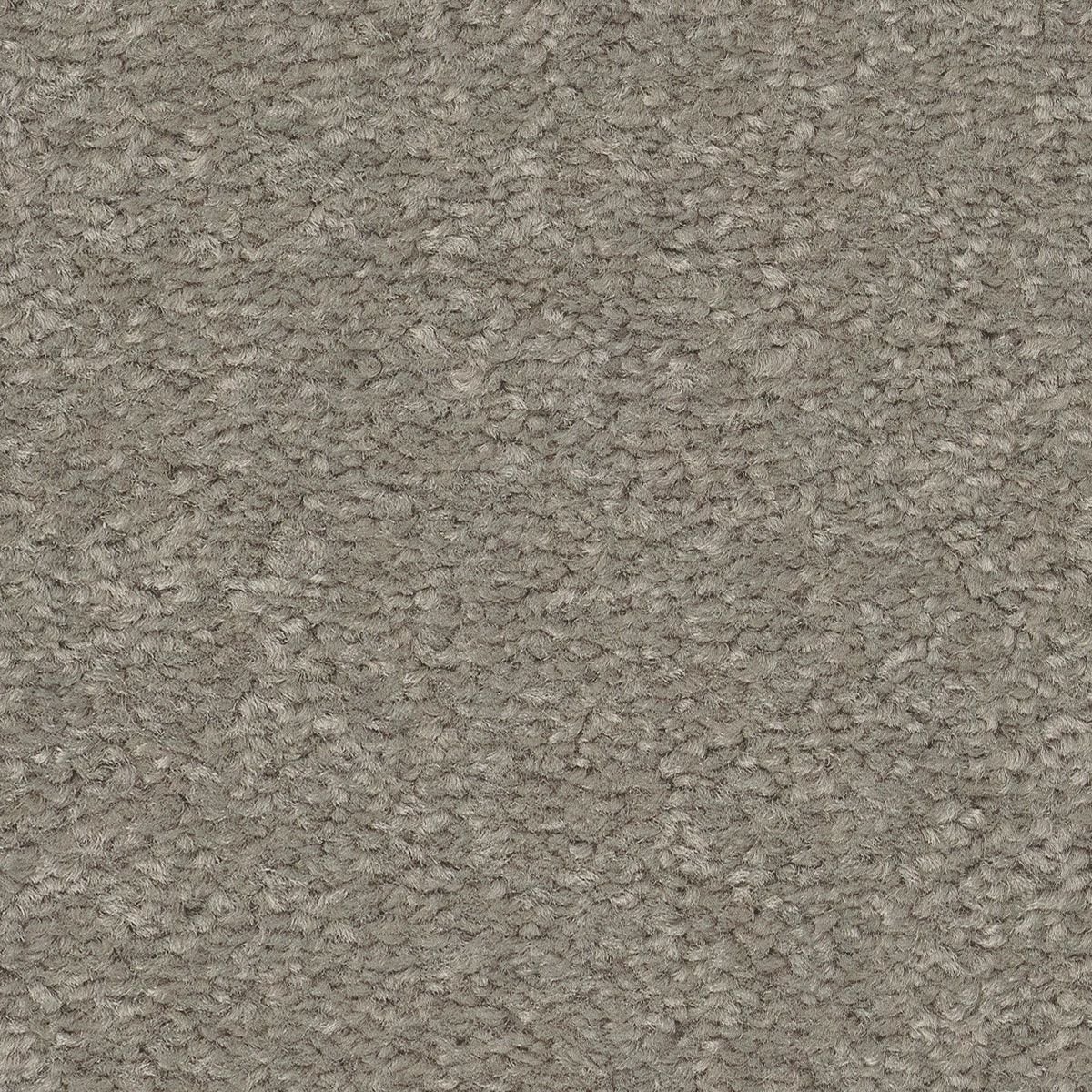 STAINMASTER PetProtect 7L883 - 750 - SAMP (Sample) Best of Breed III Outrigger Brown 68.2-oz sq yard Nylon Textured Indoor Carpet
