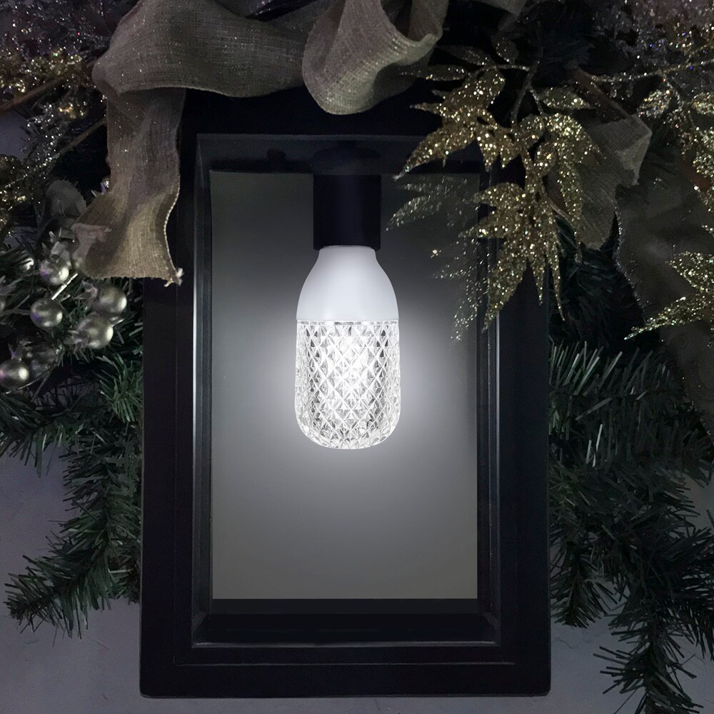 Gemmy Lightshow Northern sky White LED Edison String Light