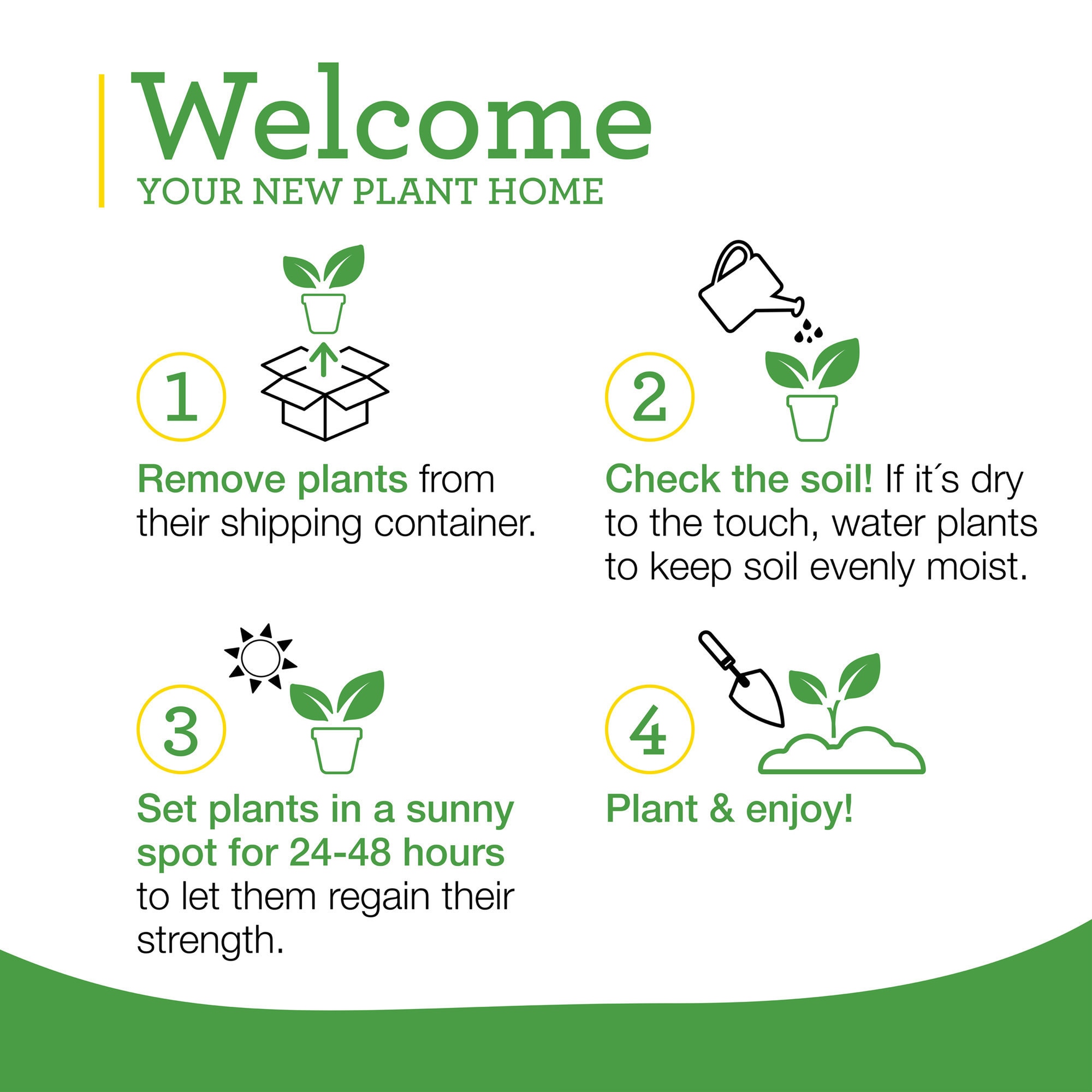 Bonnie Plants 16-331069 Vegetable-Plants - View #5