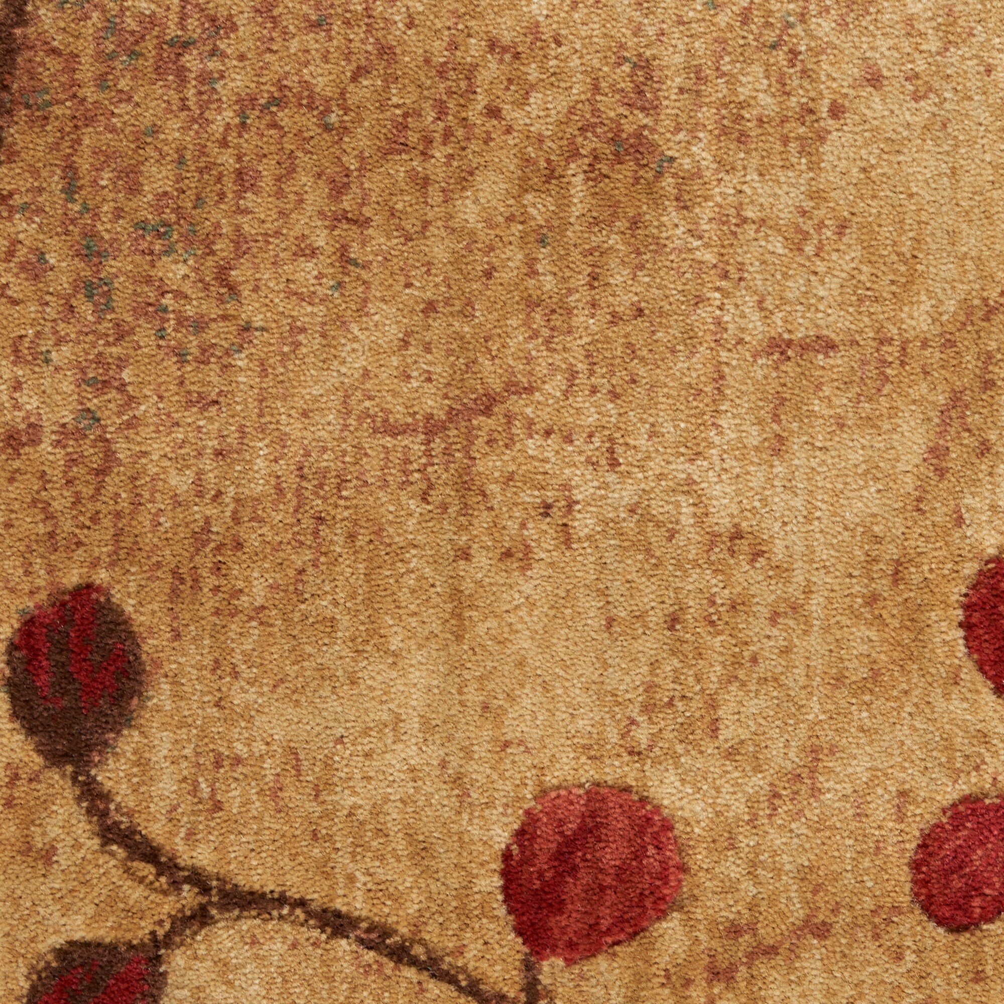Nourison 02073 rugs - View #6