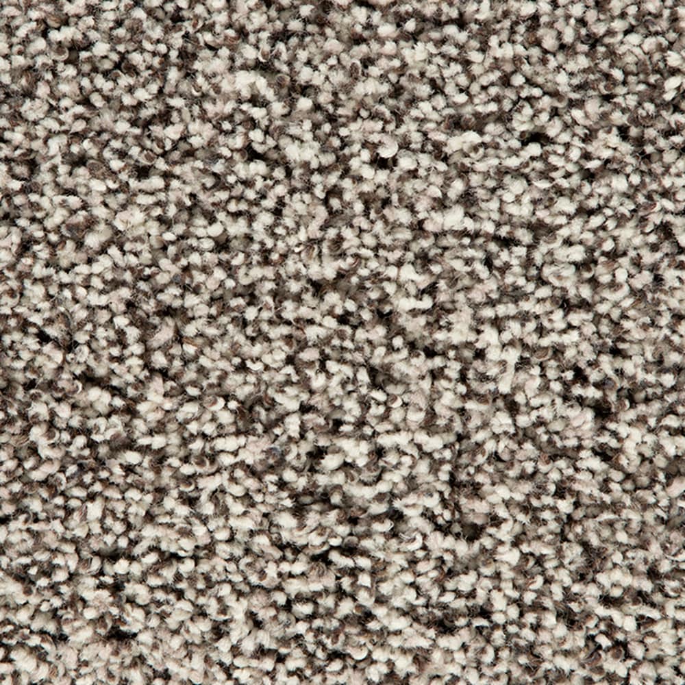 STAINMASTER STP52-12-L010 Refined Balance I Creamer Brown 50-oz sq yard Polyester Textured Indoor Carpet