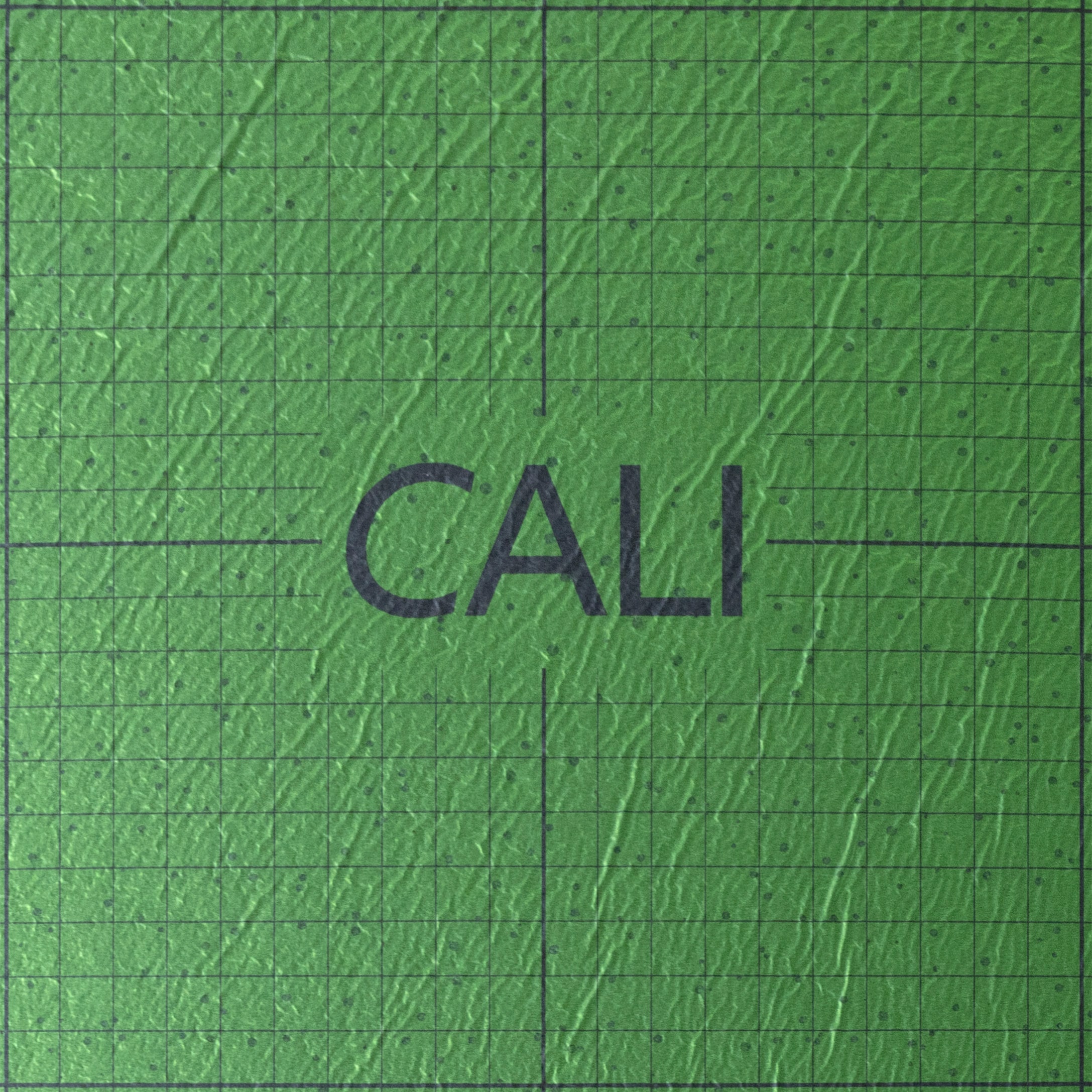 CALI 1-Gallon Liquid Indoor Moisture Control System