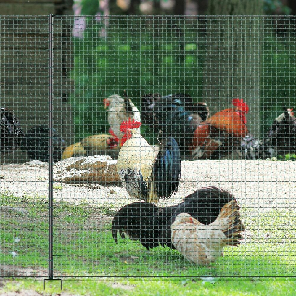 Esazn N1600250-SMALL Rolled-Fence - View #2