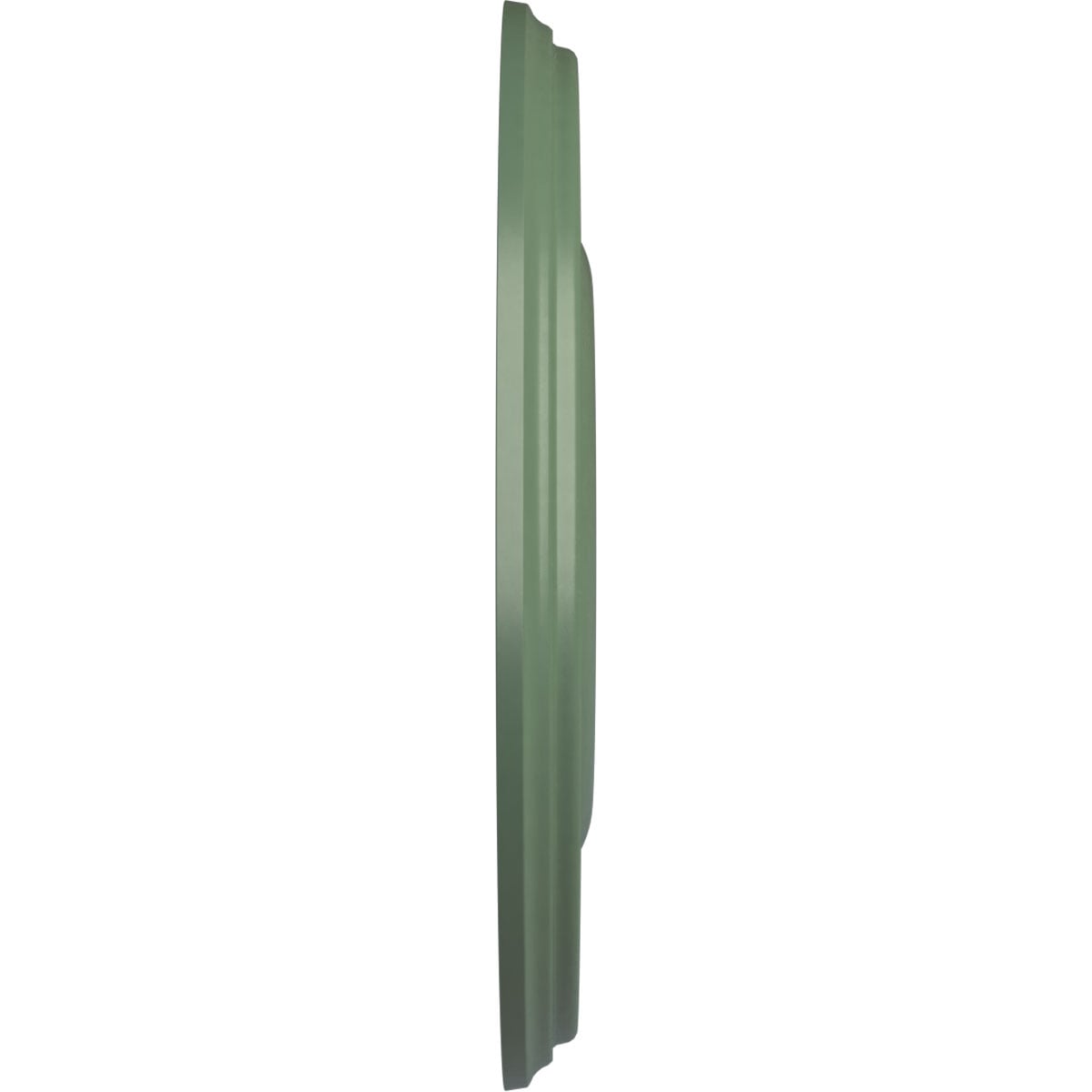 Ekena Millwork CM18BRAGF Ceiling-Medallions - View #3