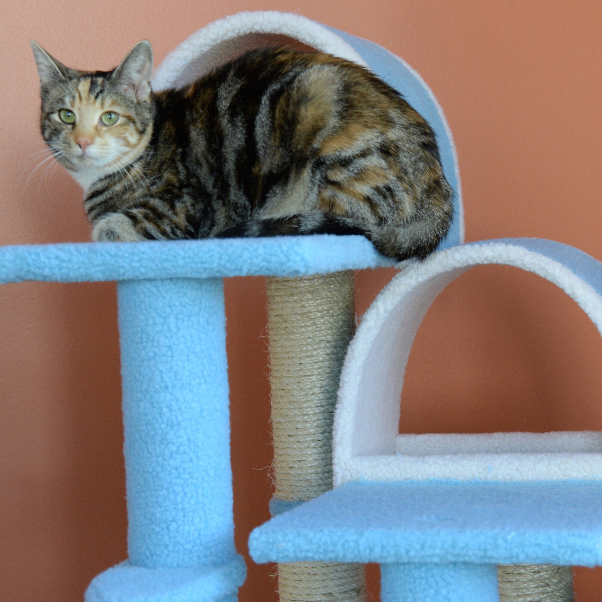 Armarkat B3803 Cat-Trees - View #7