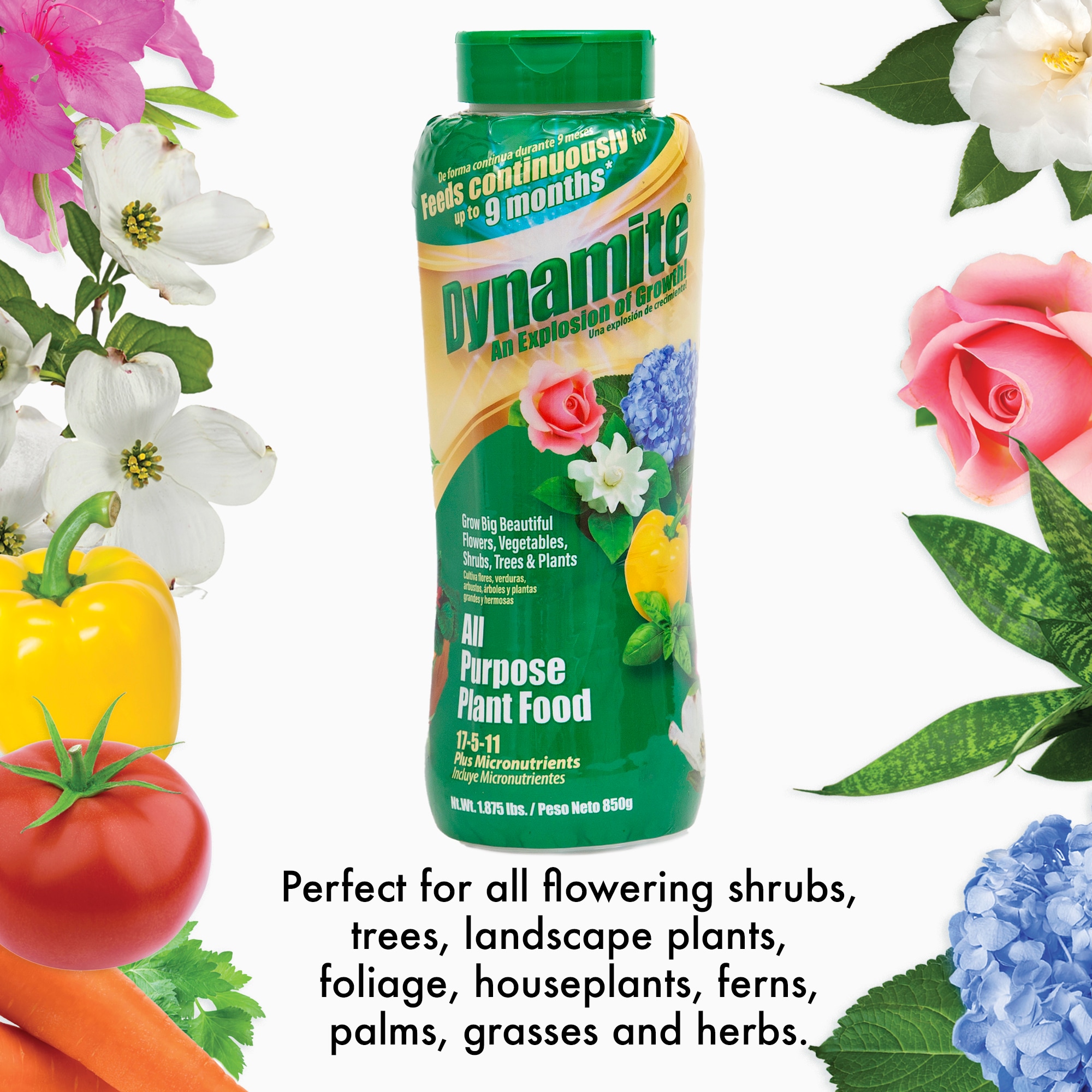 Dynamite 100546336 Plant-Food - View #3