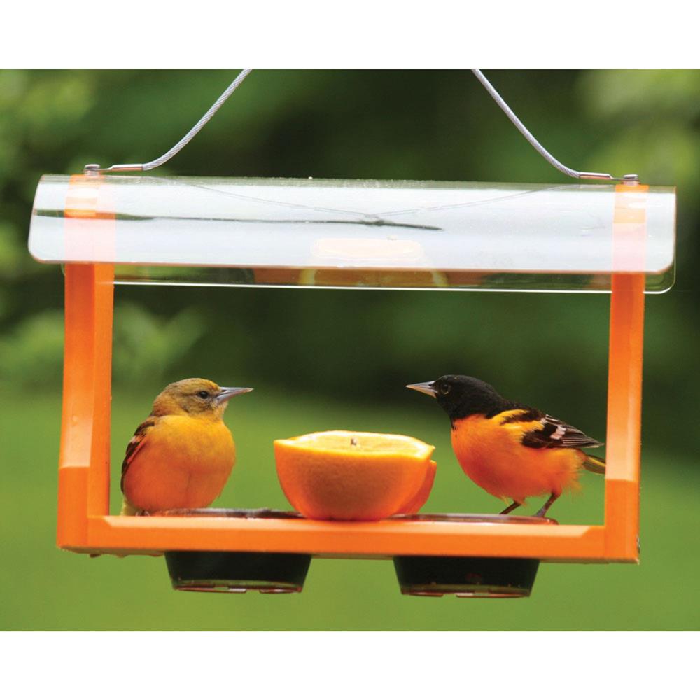 BIRDS CHOICE SNOF Bird-Feeders - View #5