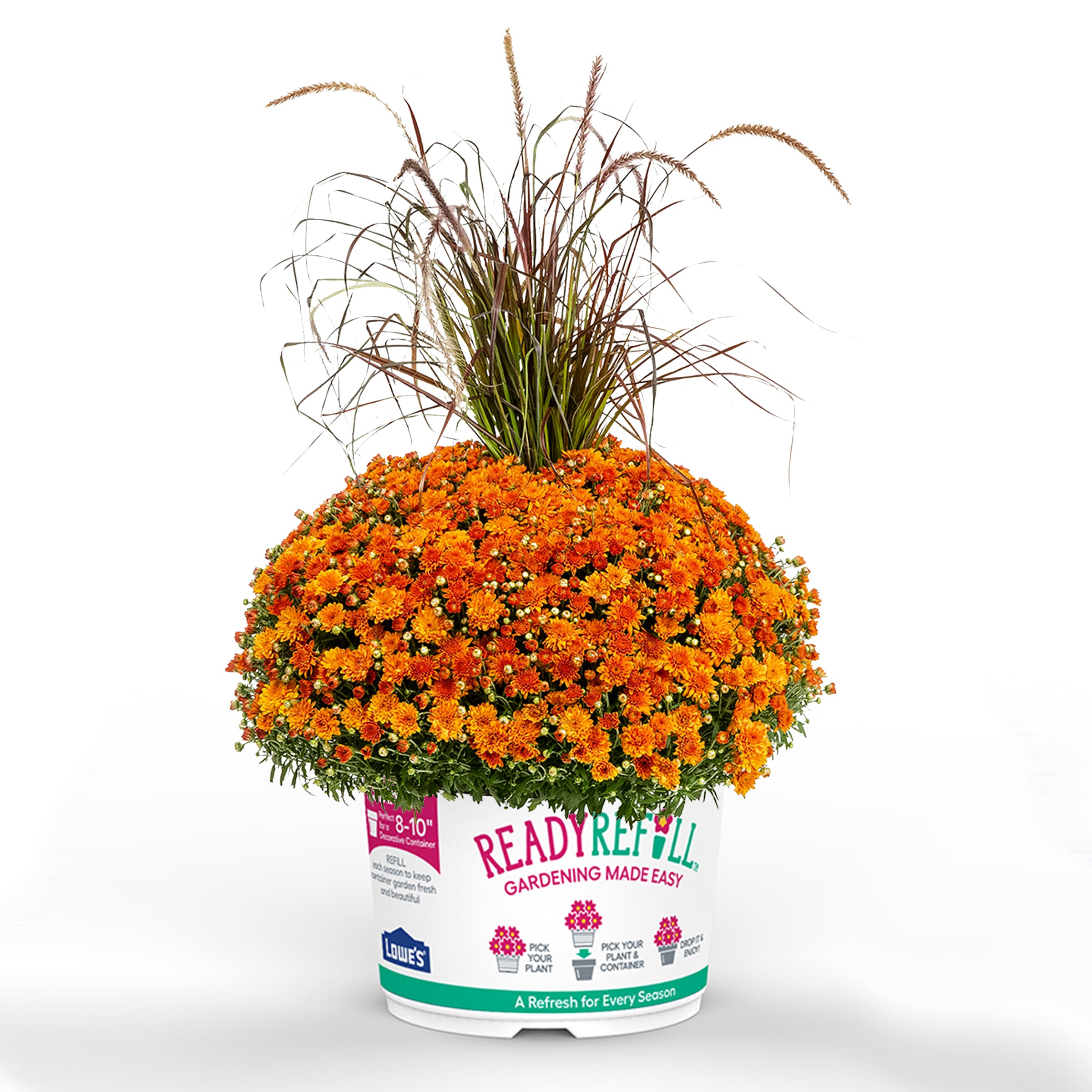 Ready Refill NURSERY Orange Mum in 2.5-Gallon Pot