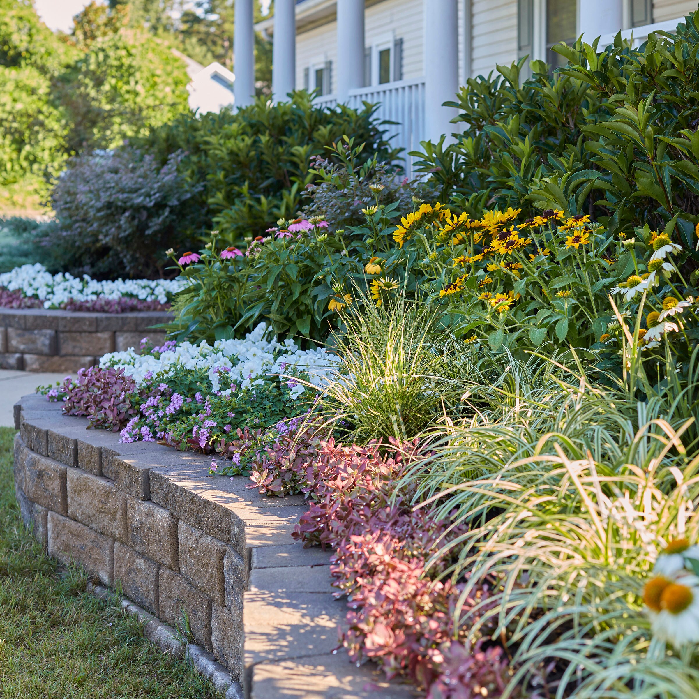 Lowe's NURSERY annuals - View #14