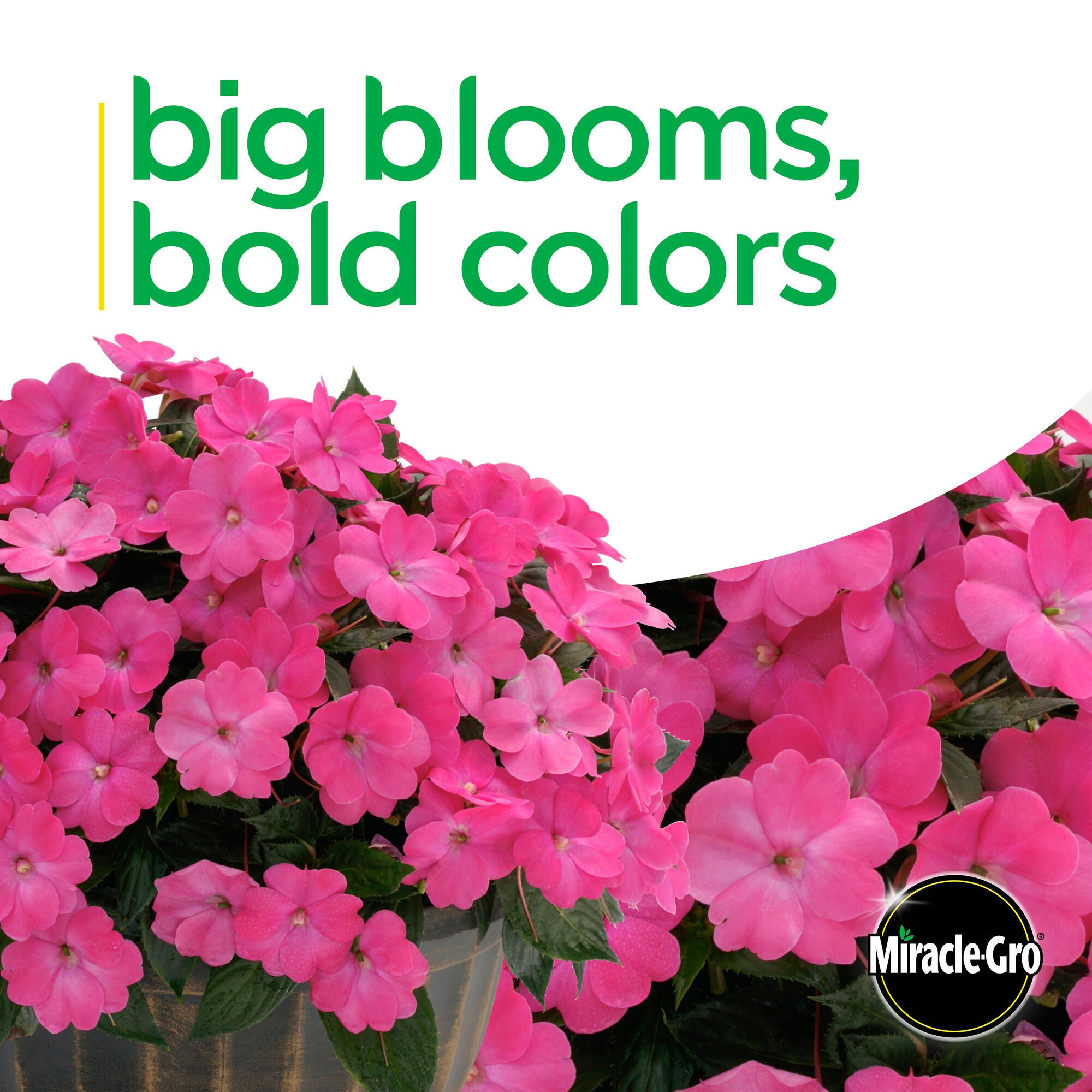 Miracle-Gro 201301 annuals - View #5