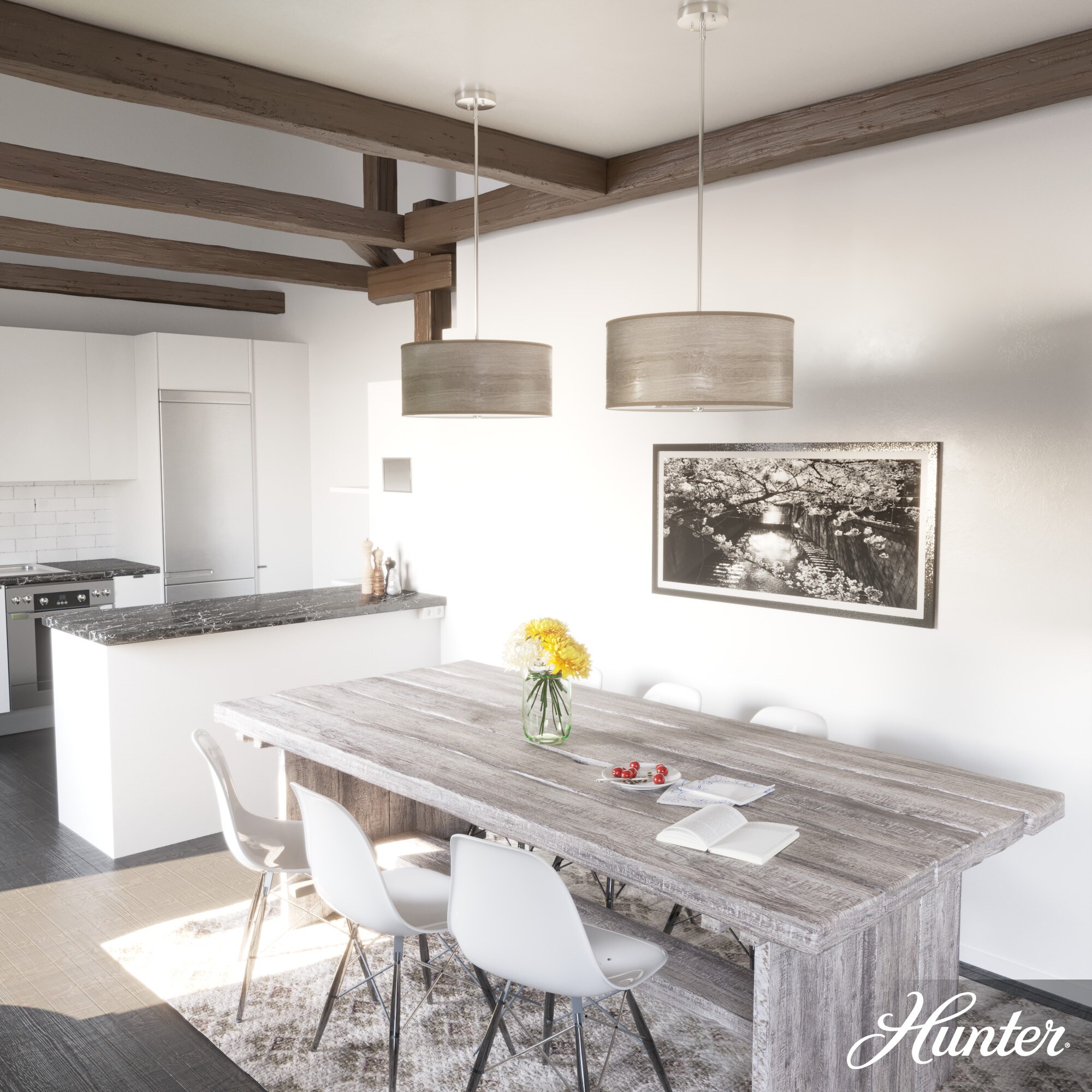 Hunter 19379 Pendant-Lights - View #3
