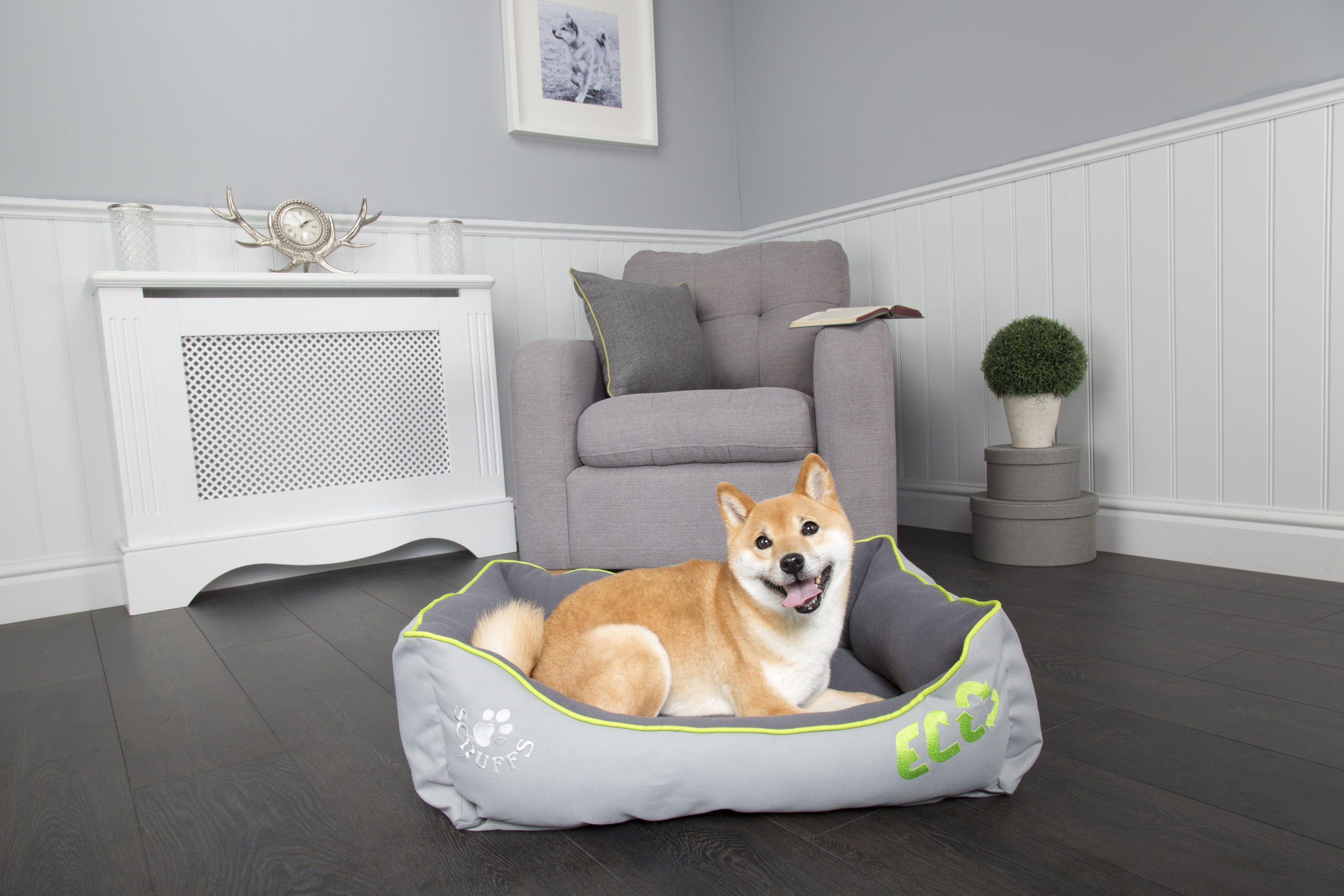 Scruffs eco dog outlet bed