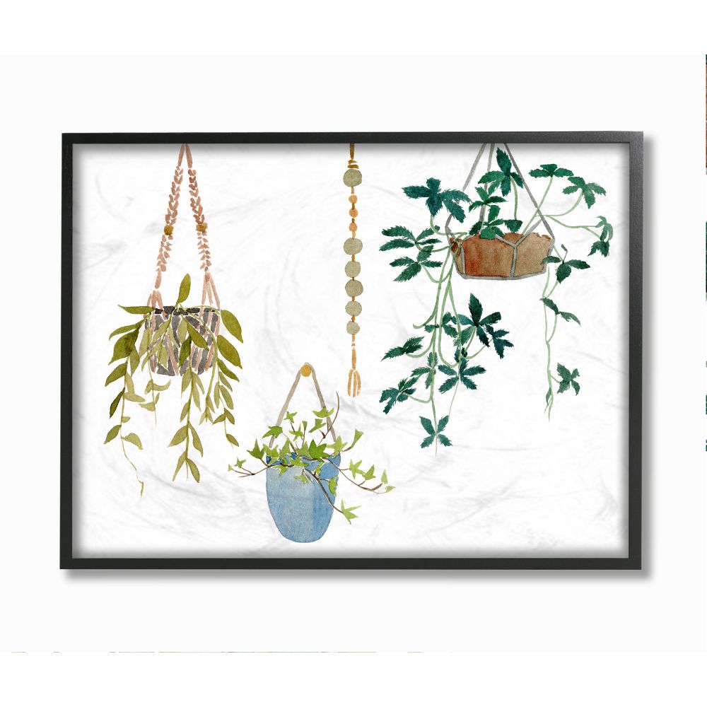 Hanging Plant Vines Modern Greenery by Melissa Wang - Graphic Art Print Dakota Fields Size: 10 H x 15 W x 0.5 D, Format: Wall Plaque