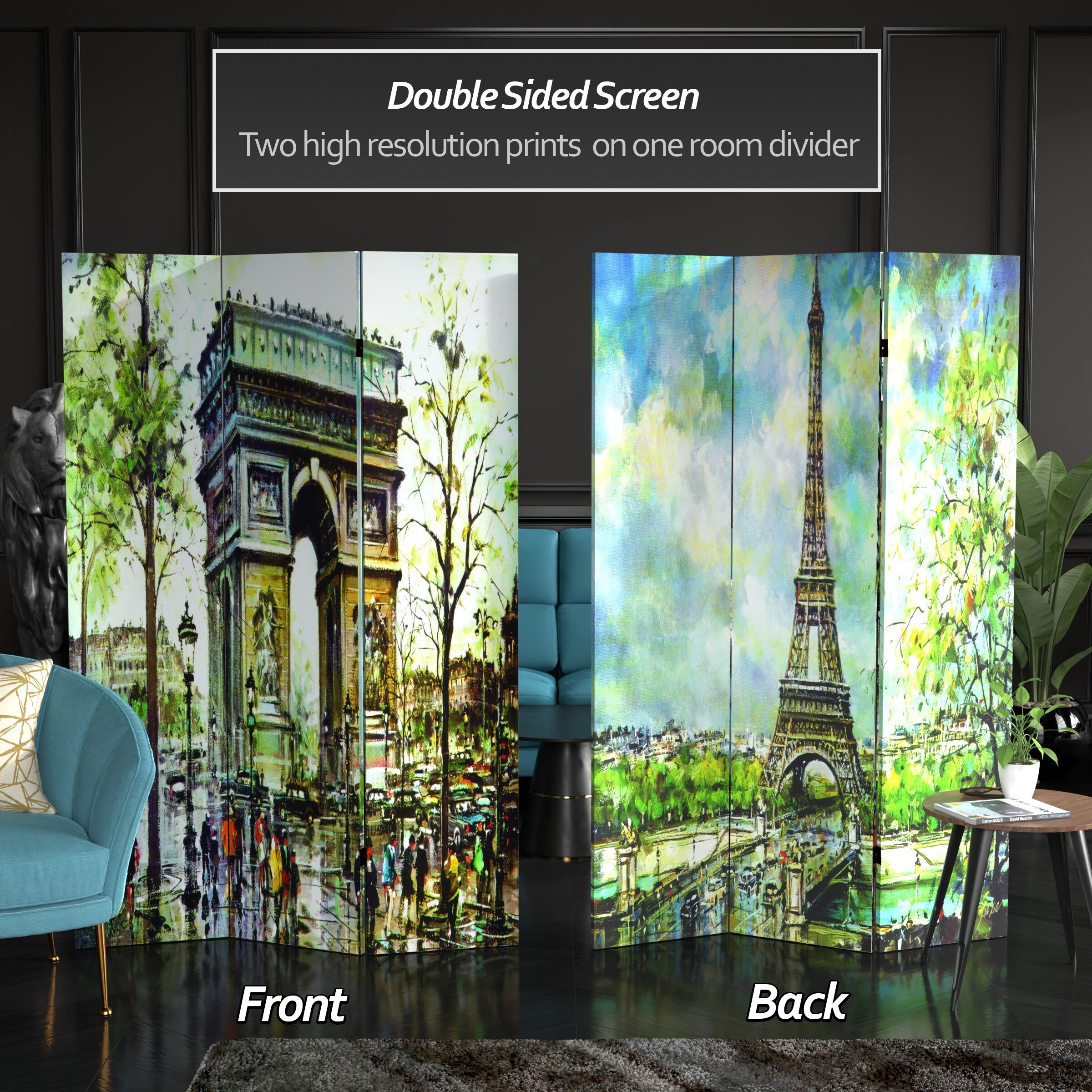 Red Lantern CAN-PARIS3 Indoor-Privacy-Screens - View #2