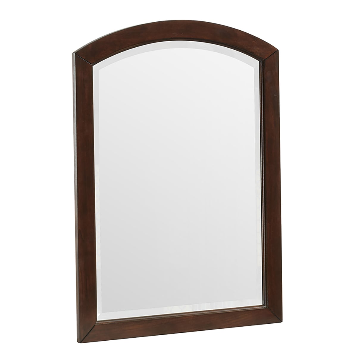 Style Selections Morecott 22-in x 30-in Arch Bathroom Vanity Mirror ...