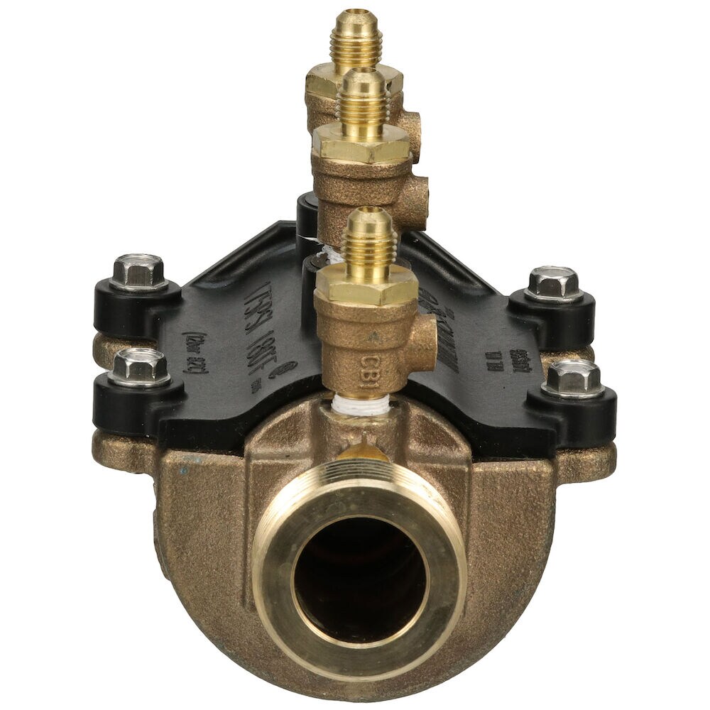 Double Check Valve  Briscoe Protective