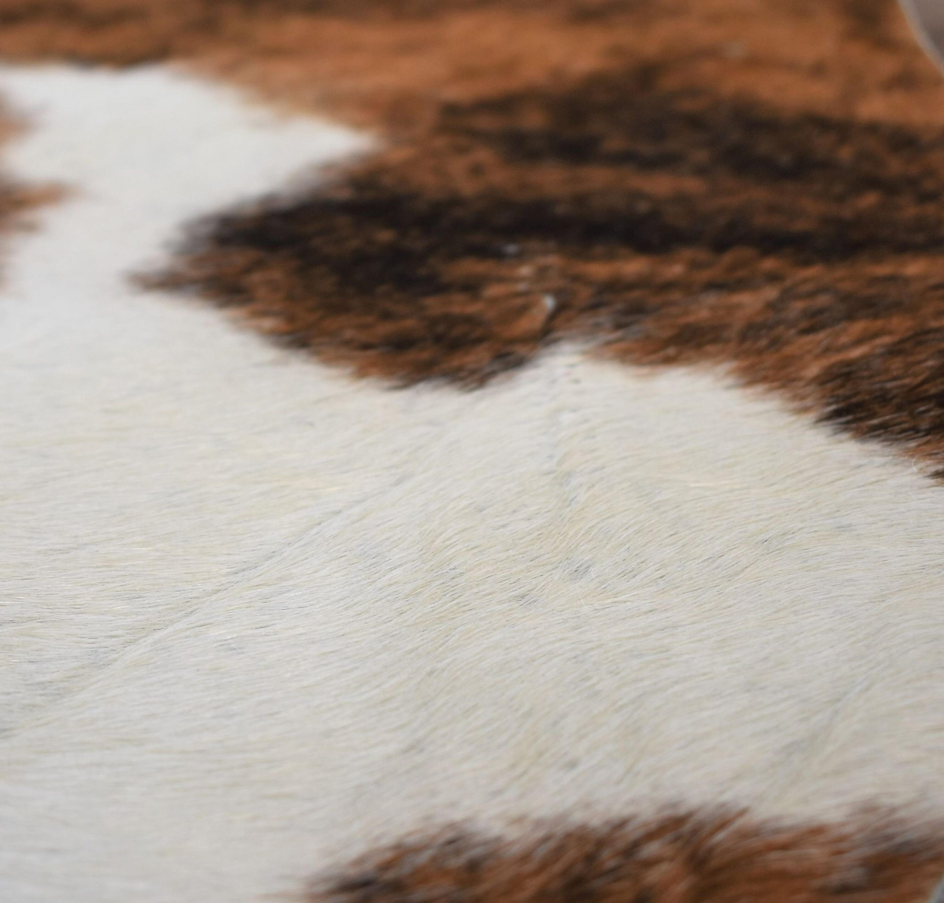 Rugs America 27903 rugs - View #7
