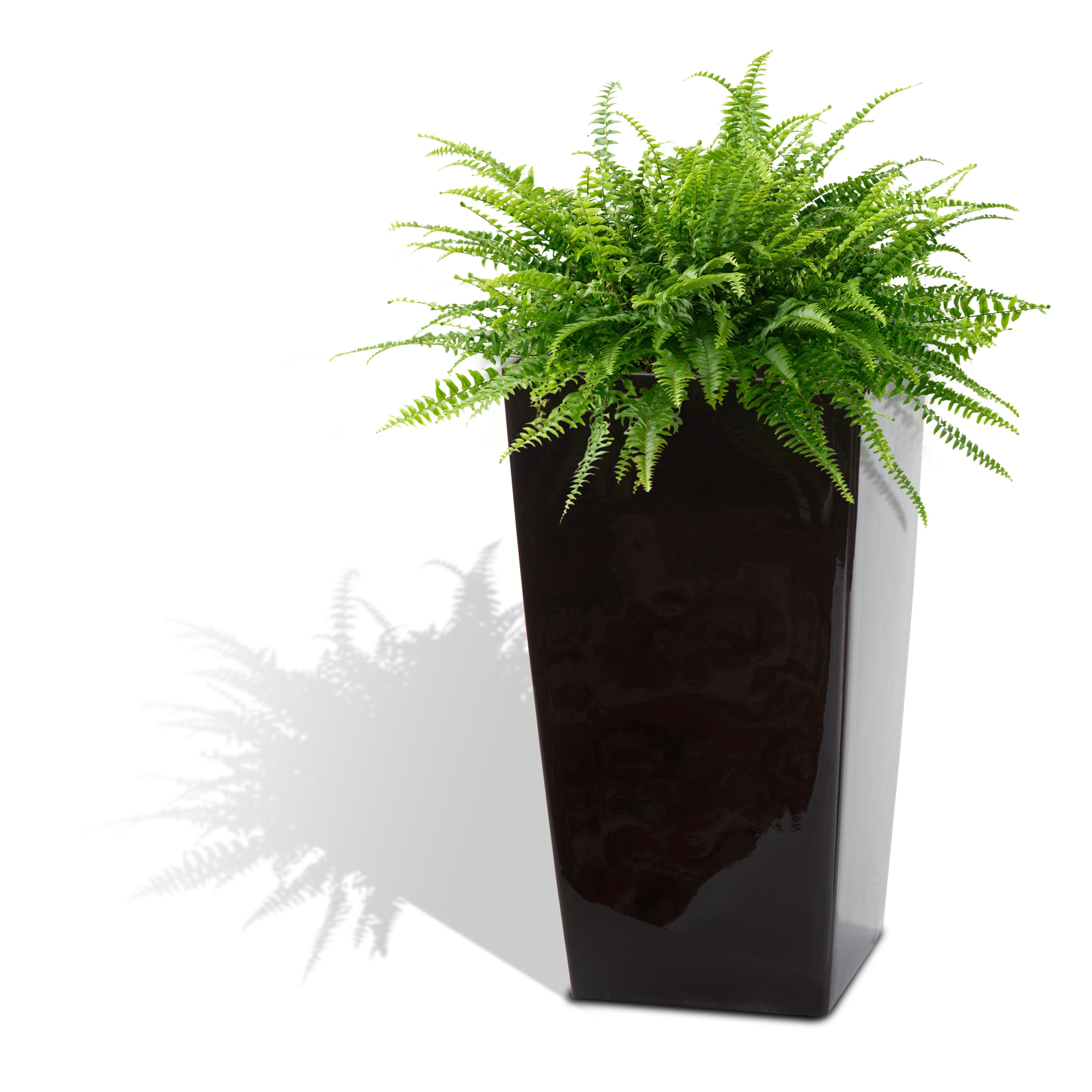 Algreen Products 11304 Square 22.0-in W x 22-in H x 22-in D Black Plastic Indoor/Outdoor with Self Watering Planter