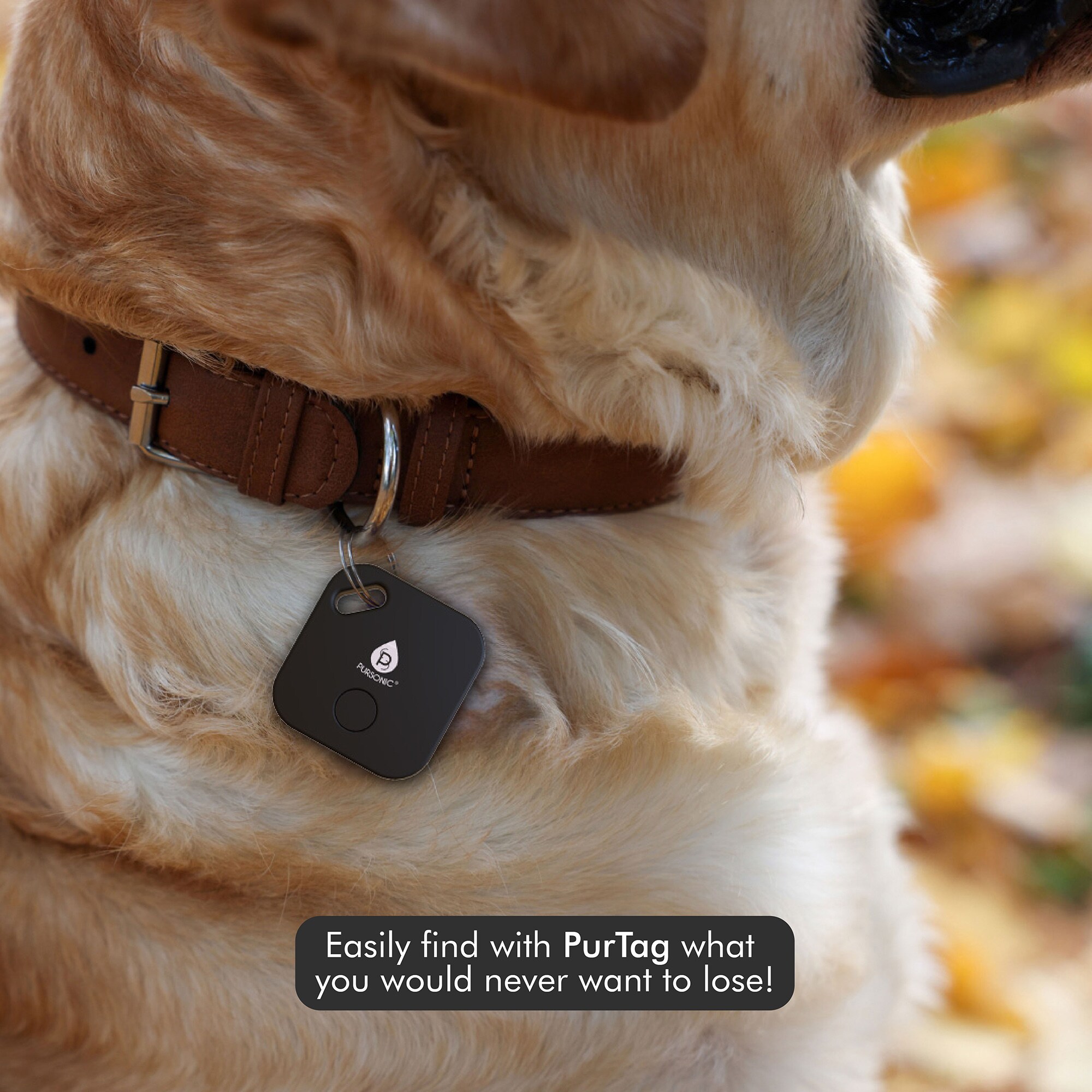 Pursonic PTT1 X4 Remote-Pet-Trainers - View #3