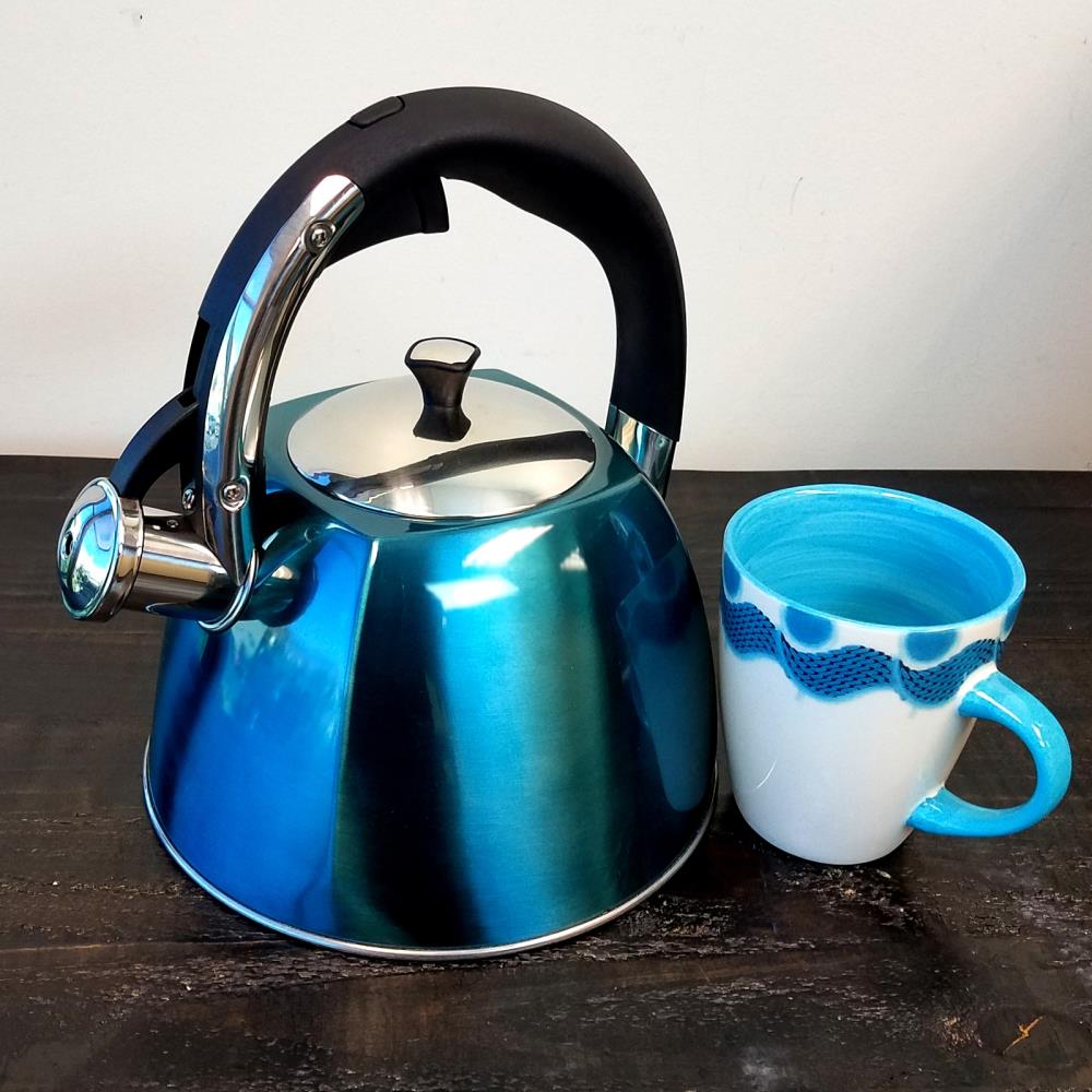 Mr. Coffee 2.5 Quart Stainless Steel Whistling Tea Kettle in Turquoise