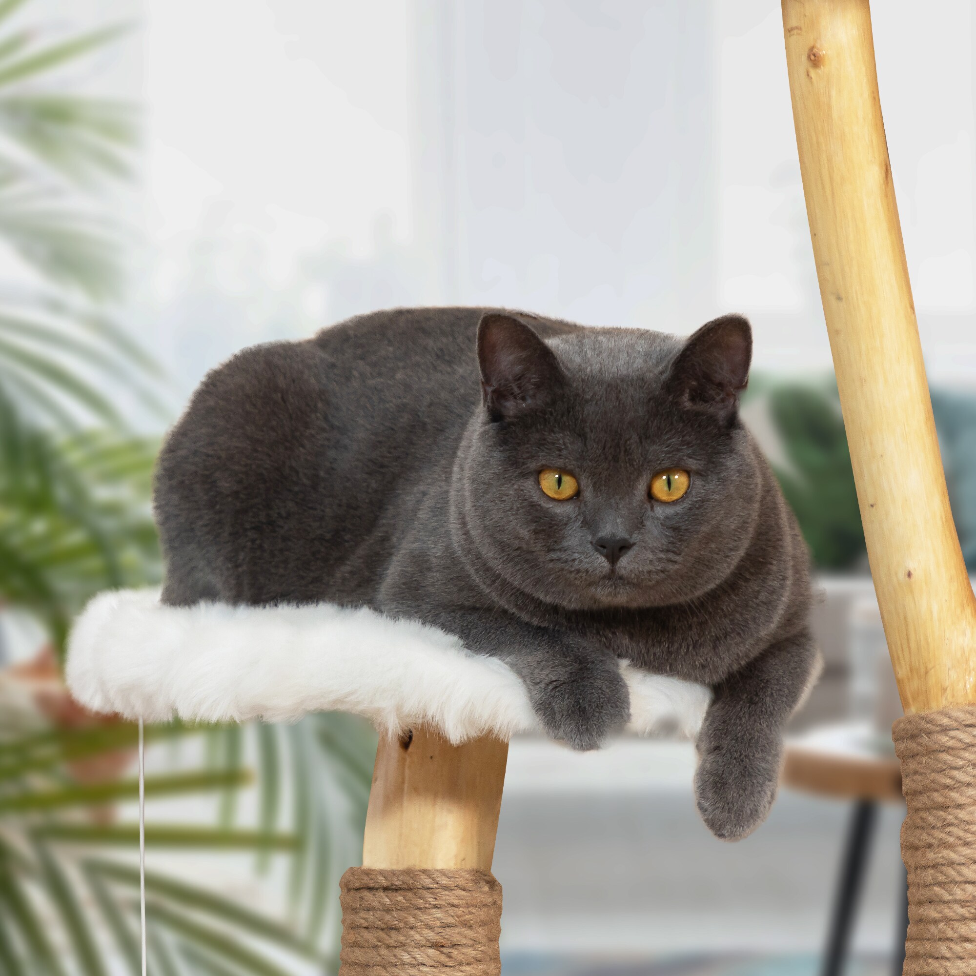 Coziwow CW12K0528 Cat-Trees - View #7