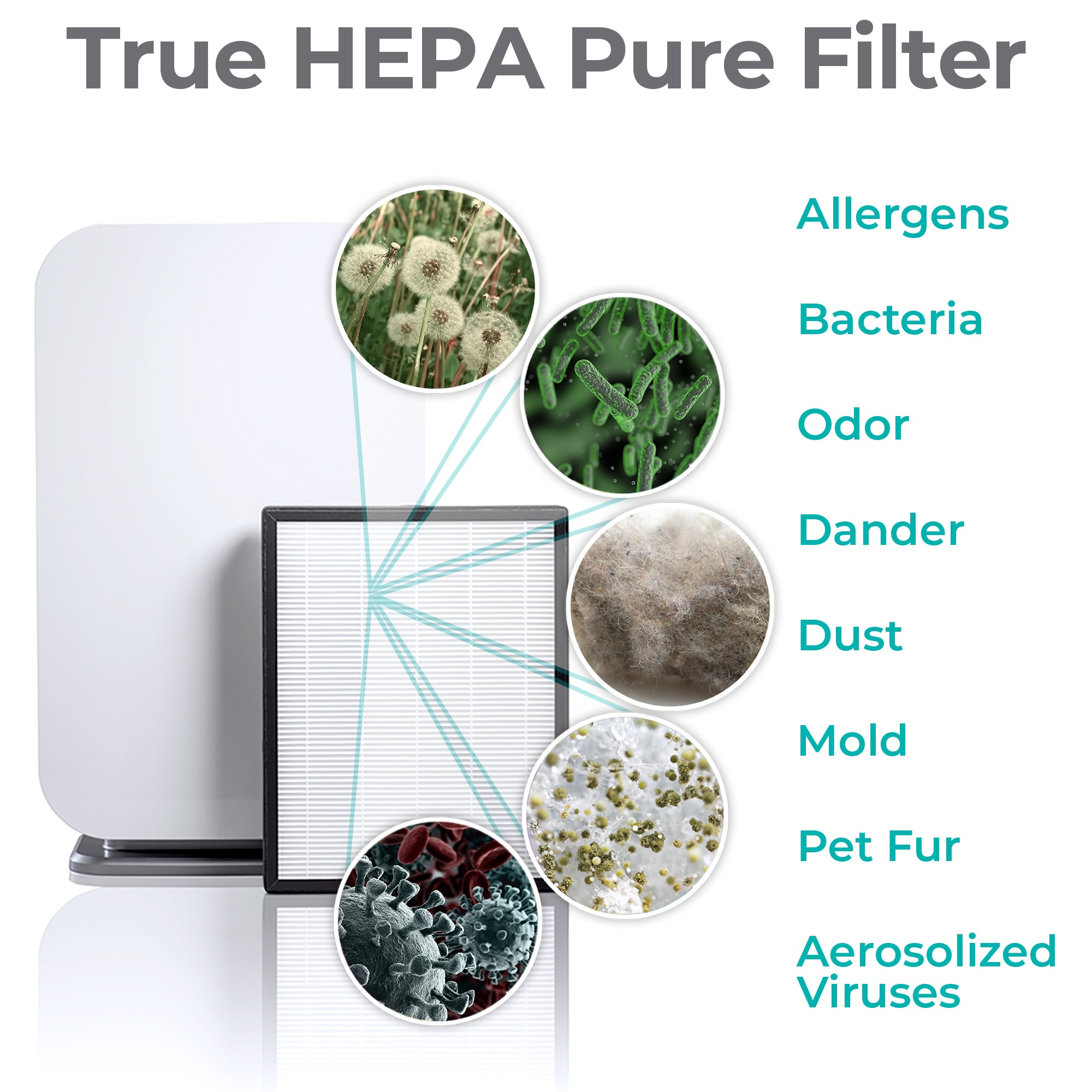 Alen BreatheSmart Classic Air Purifier with Odor, True HEPA Filter