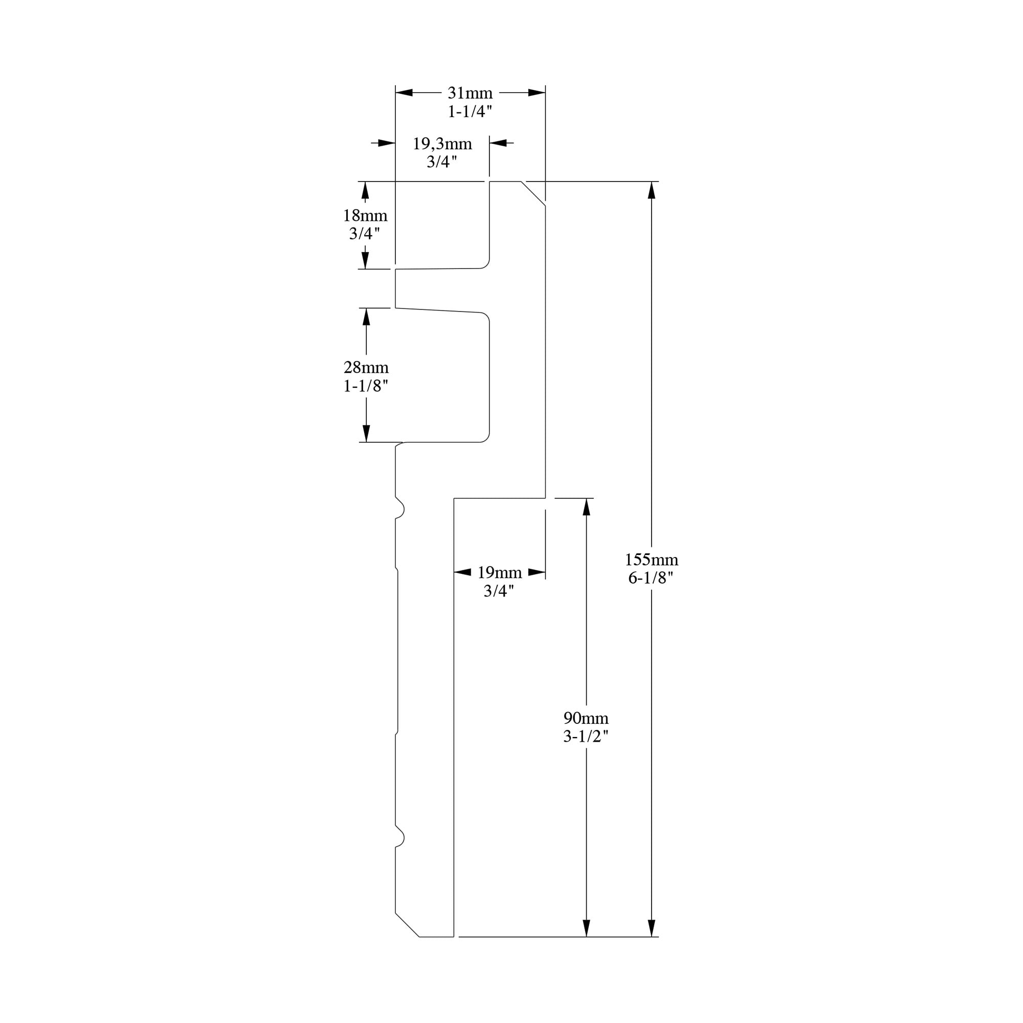 Orac Decor C395 Crown-Moulding - View #2