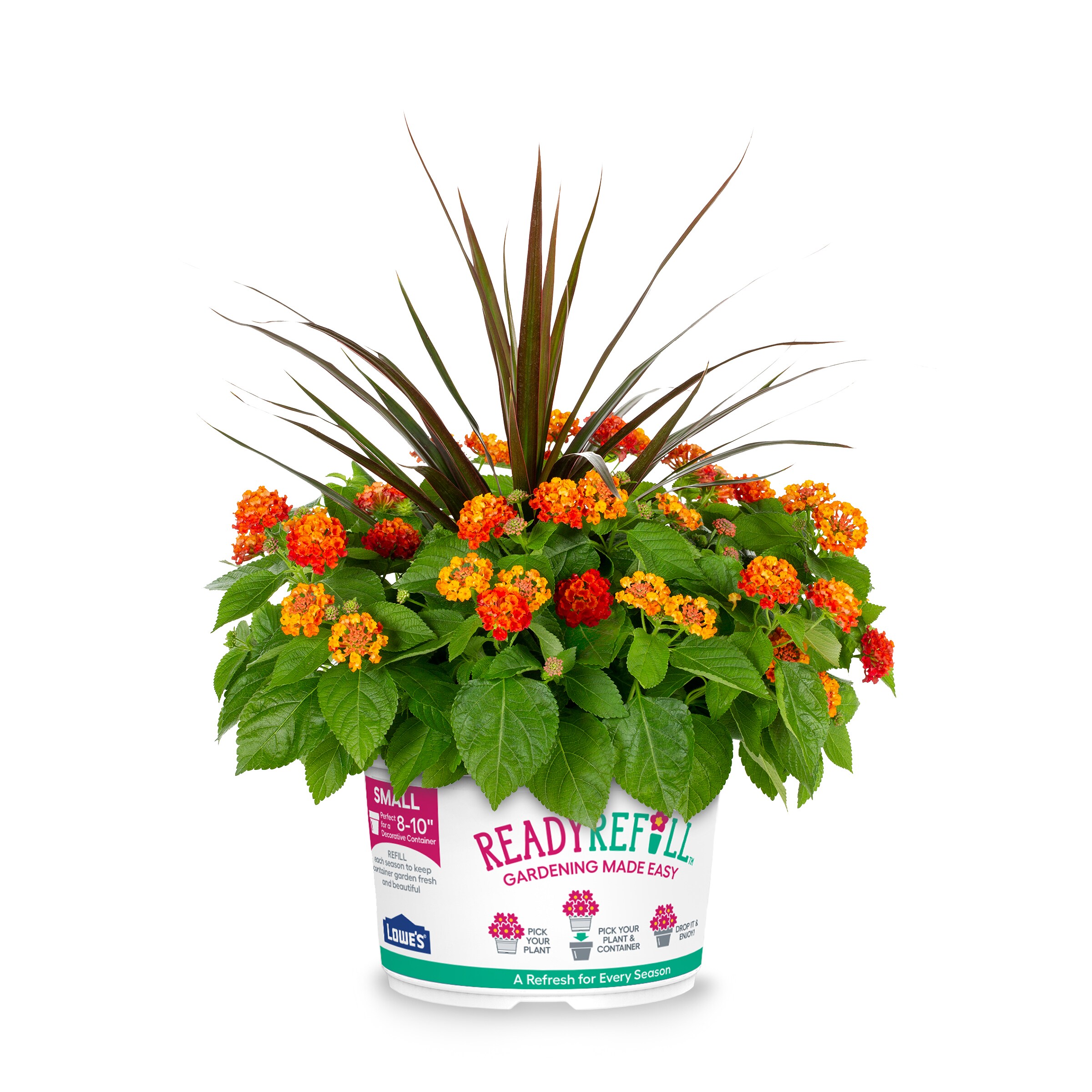 Ready Refill NURSERY Multicolor Lantana Mix in 1.5 Gallon(s) Pot 3 -Pack