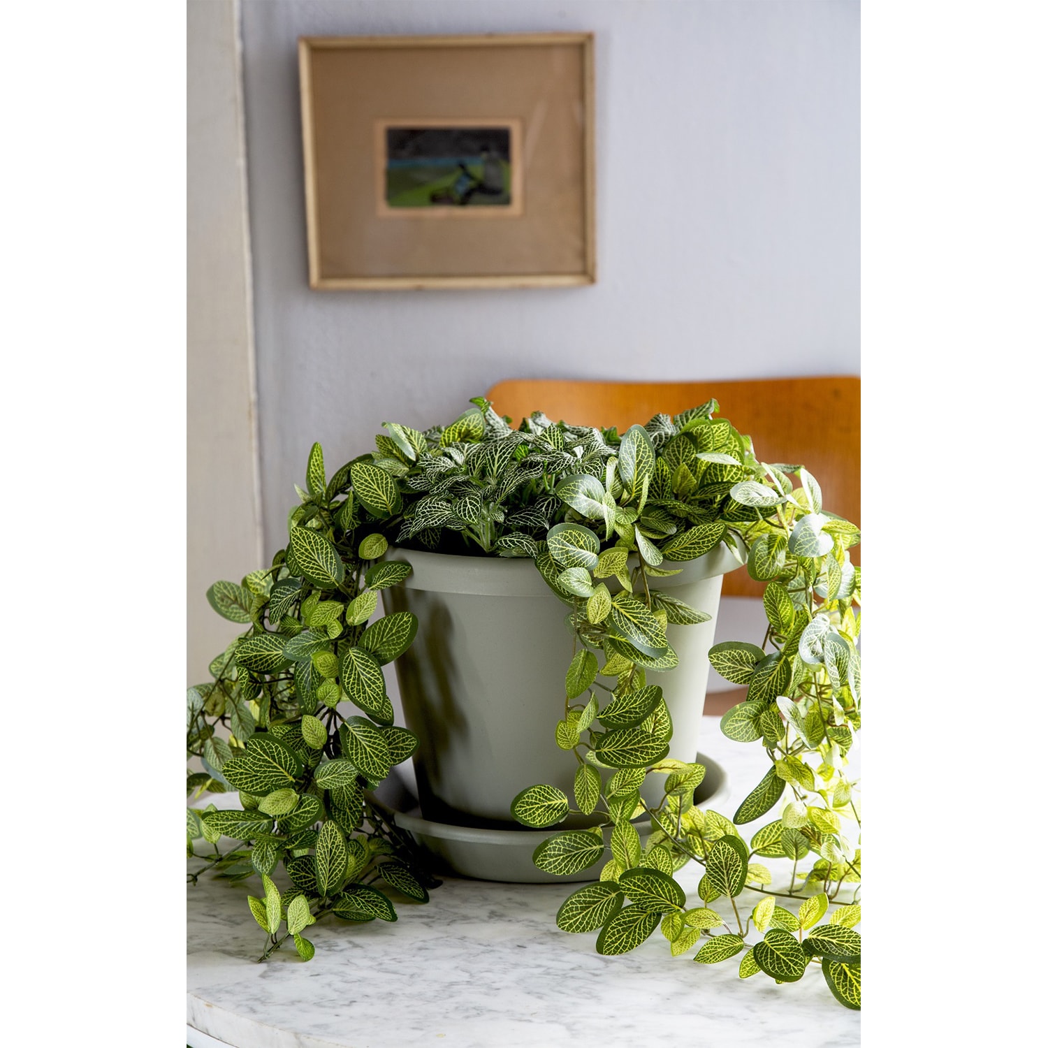 The HC Companies 165818 Planter-Window-Box - View #4