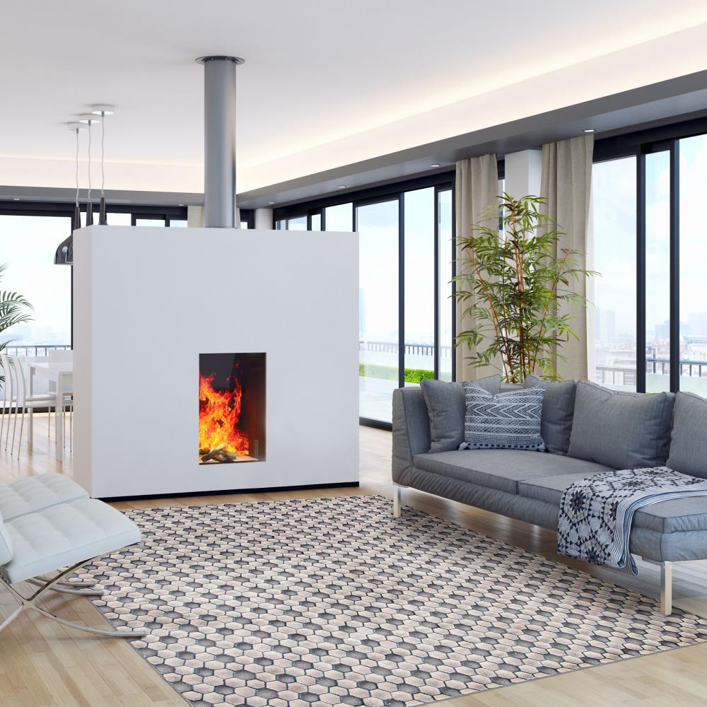 ECARPETGALLERY 347053 rugs - View #2