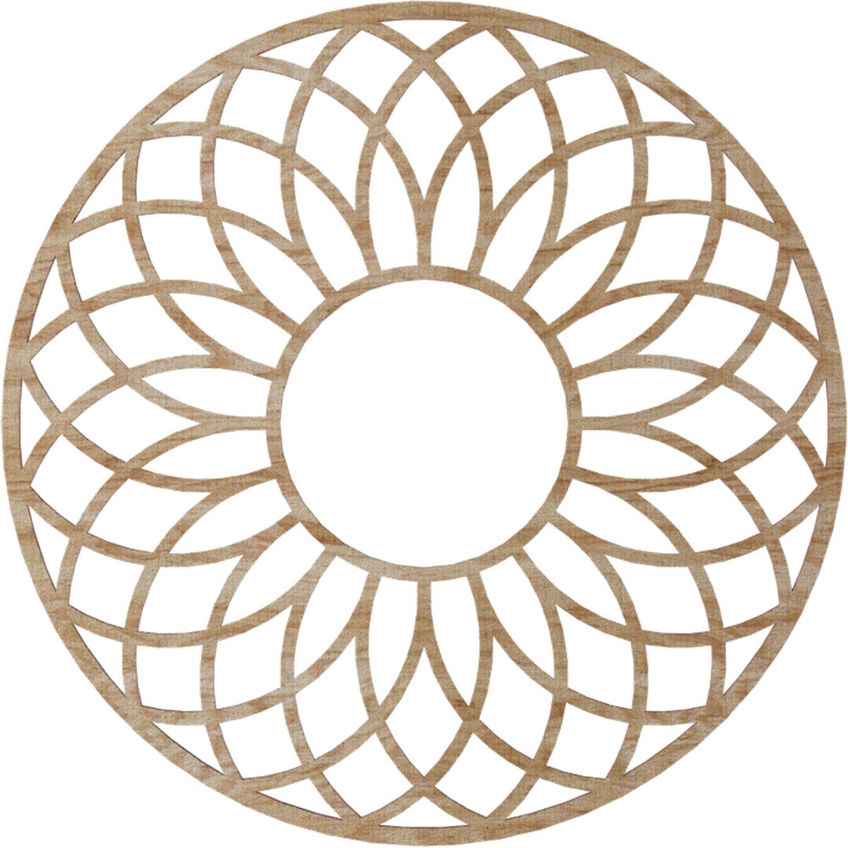 Ekena Millwork CMWP24X24X0250CNRO Ceiling-Medallions - View #4
