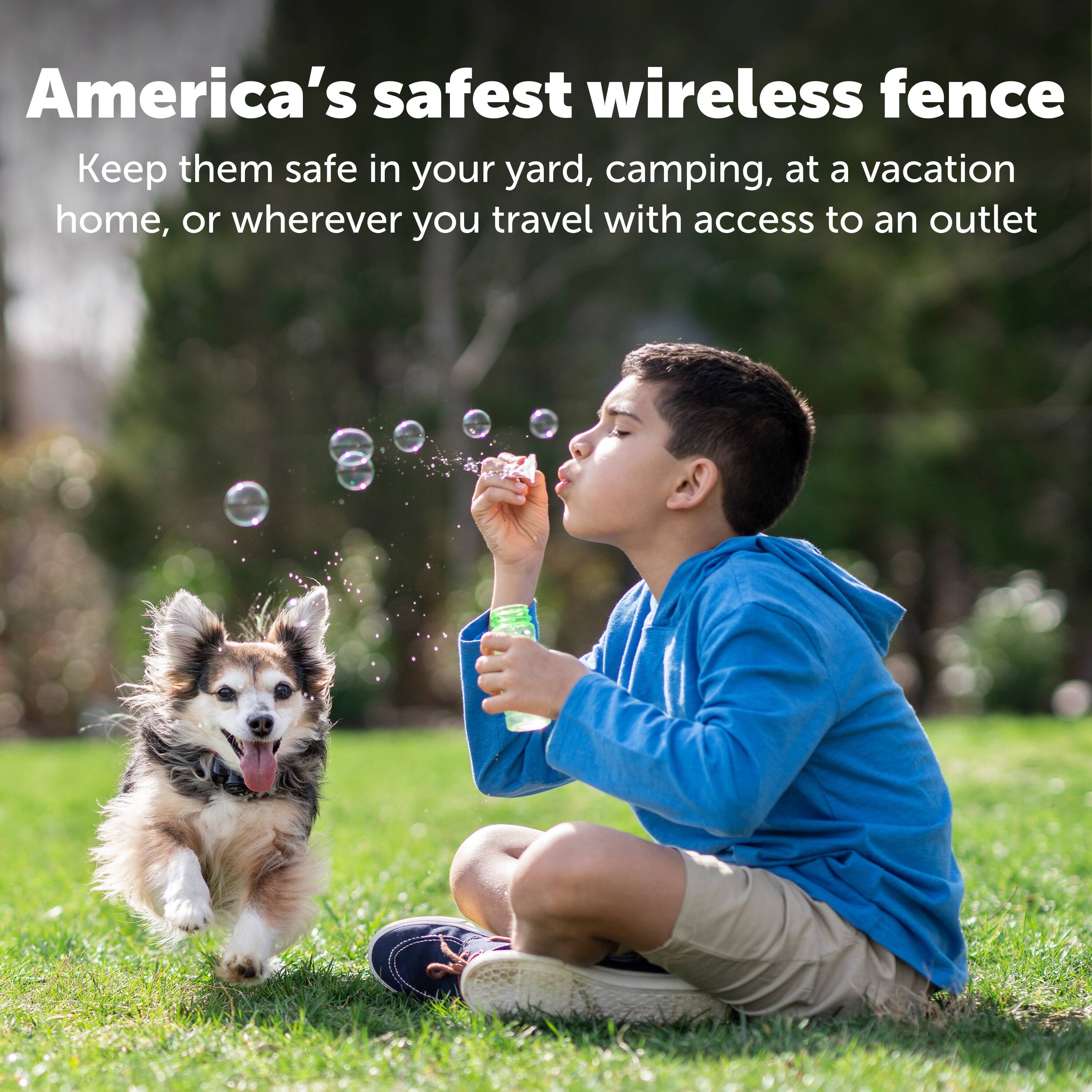 Lowes petsafe wireless collar best sale