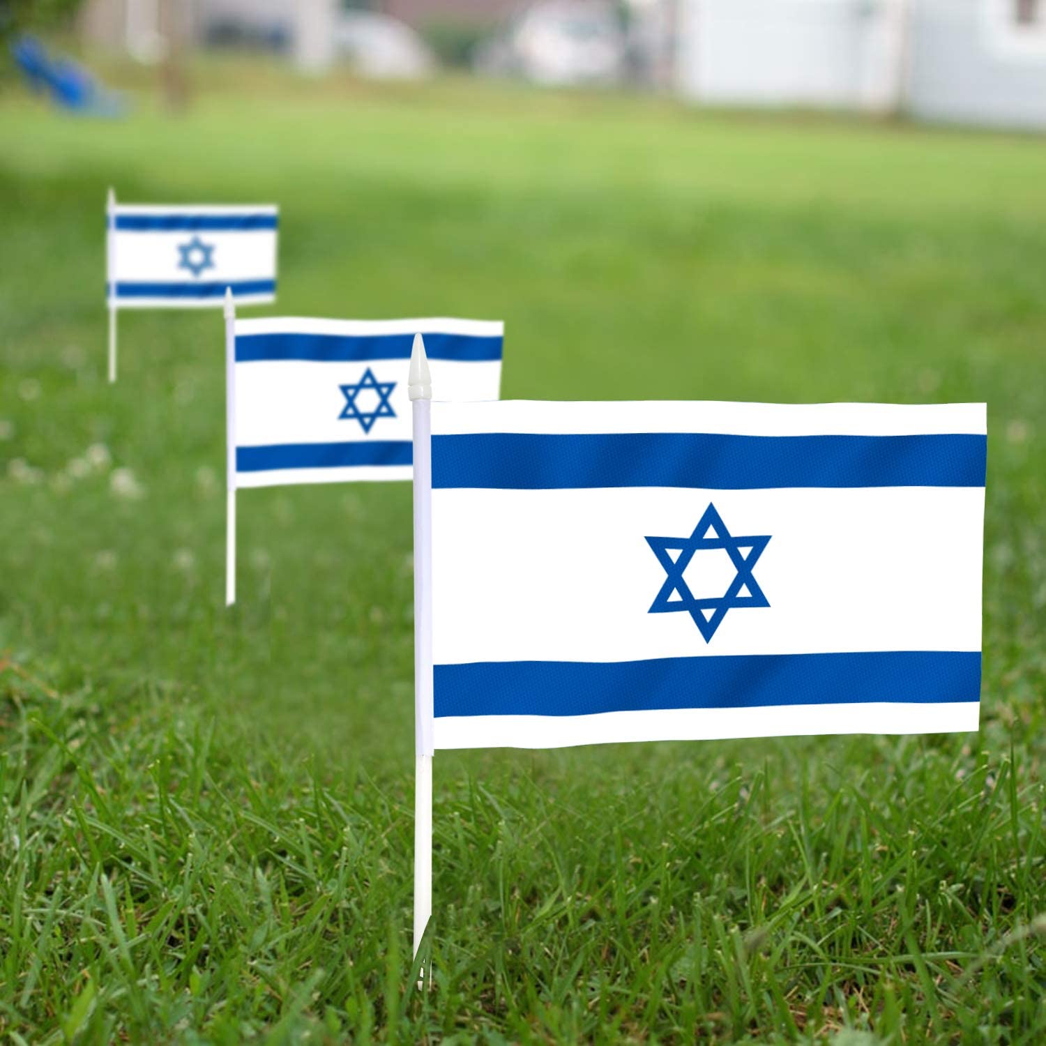 Anley A.FLAG.ISRAEL.12PC Decorative-Banner-Flags - View #2