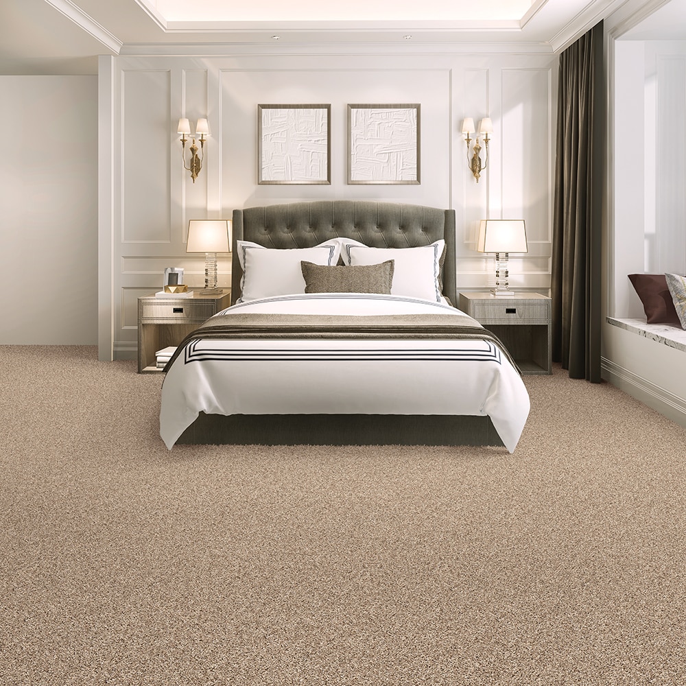 Style Selections SS018-L003-0808 Carpet-Samples - View #2