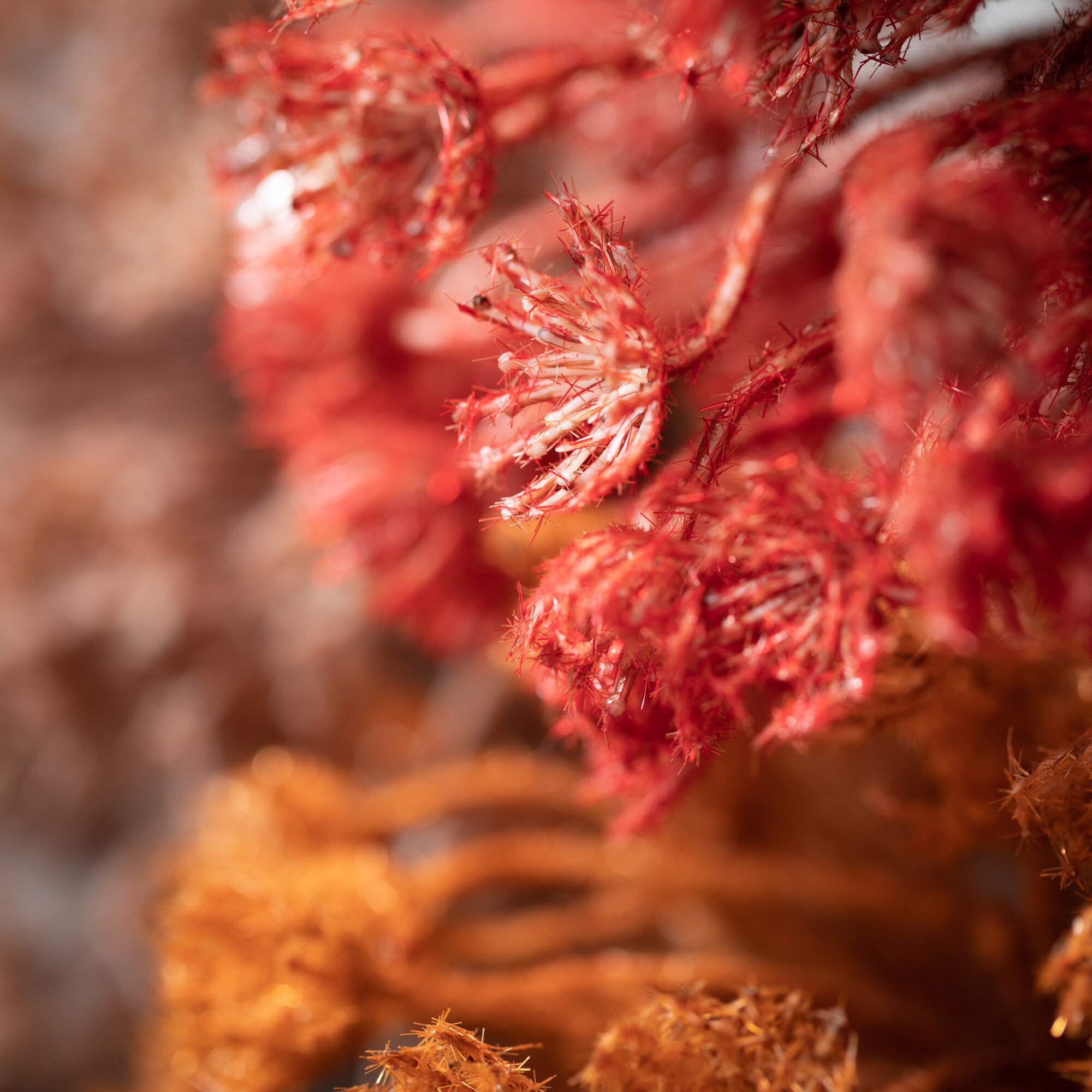 Sullivans ST1853 Indoor-Thanksgiving-Decor - View #2