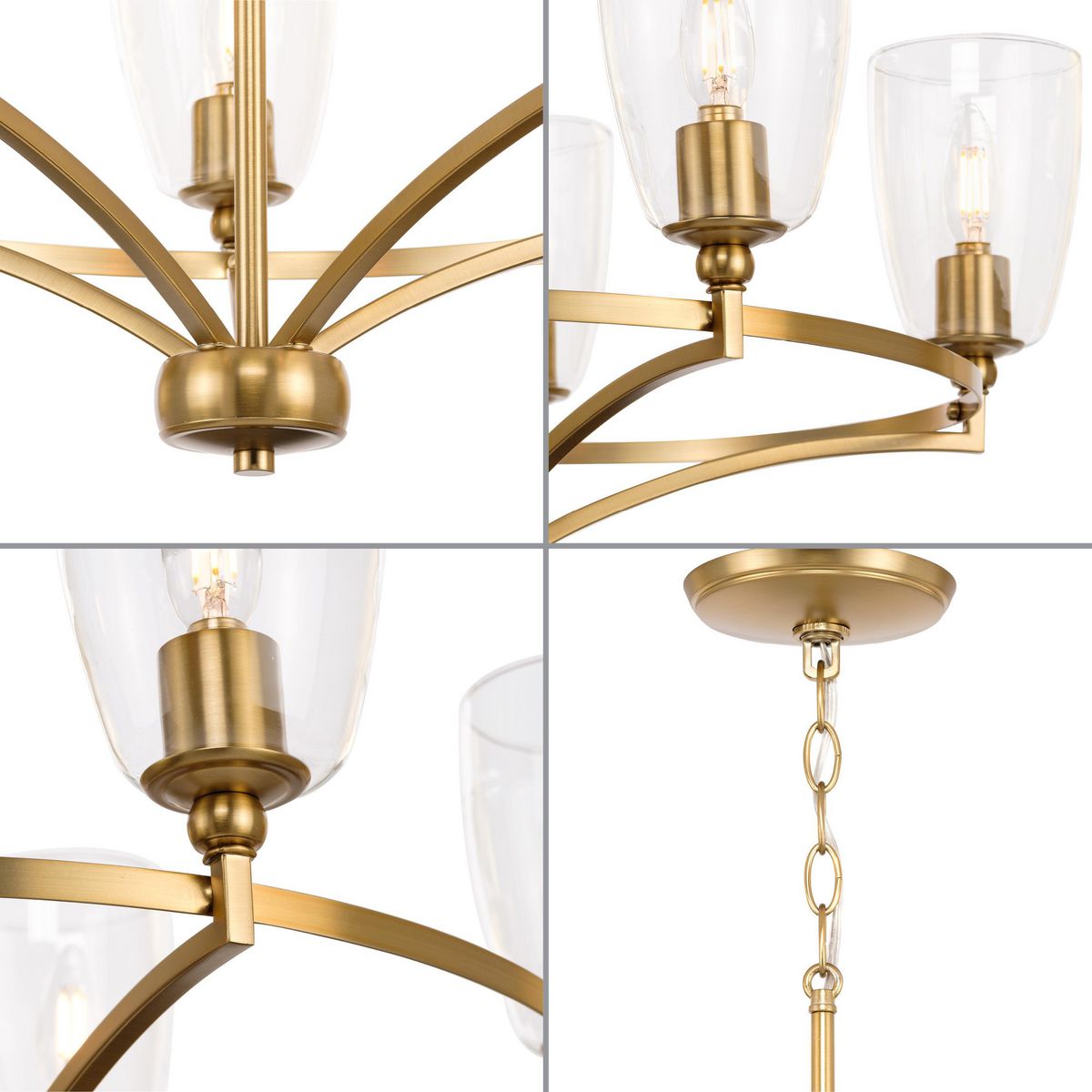 Parkhurst Brushed Bronze 5-Light Chandelier with Glass Shades