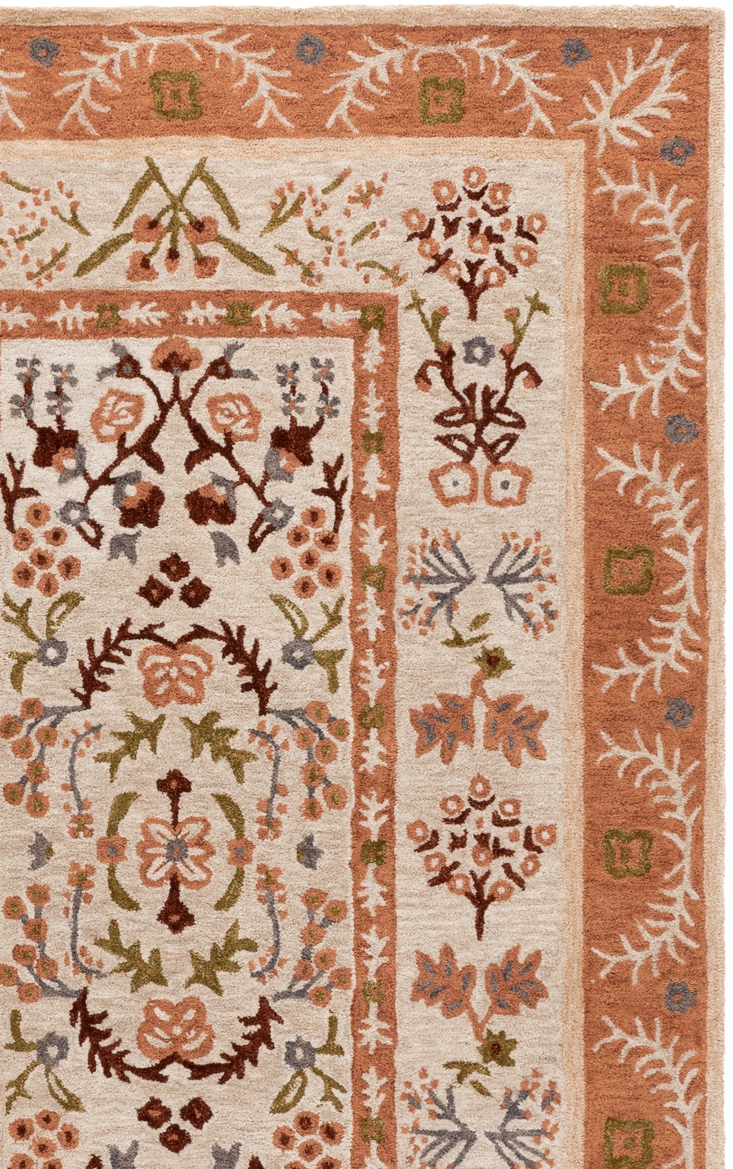 Safavieh AN201B-6 rugs - View #3