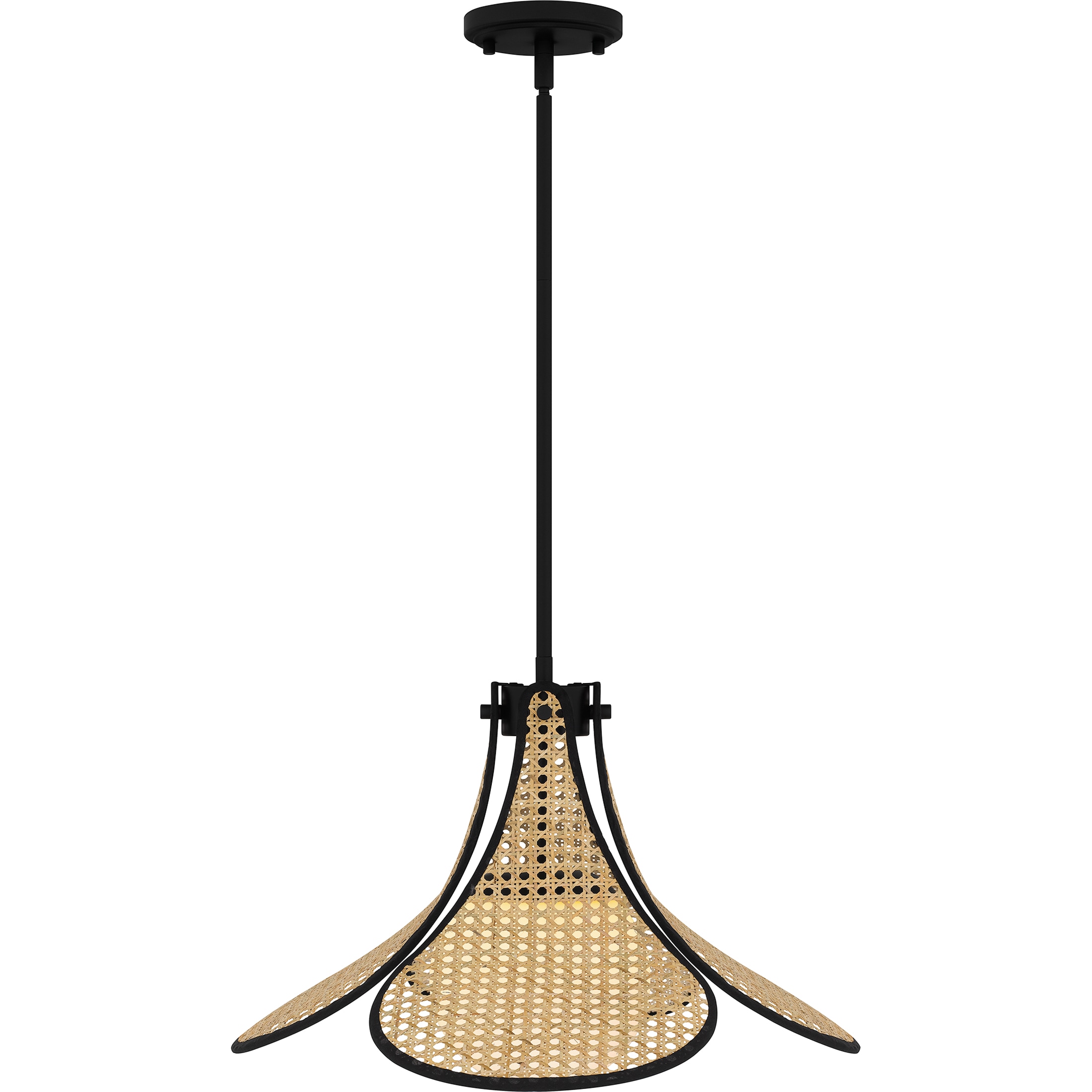 Delilah Matte Black and Rattan Globe Pendant Light