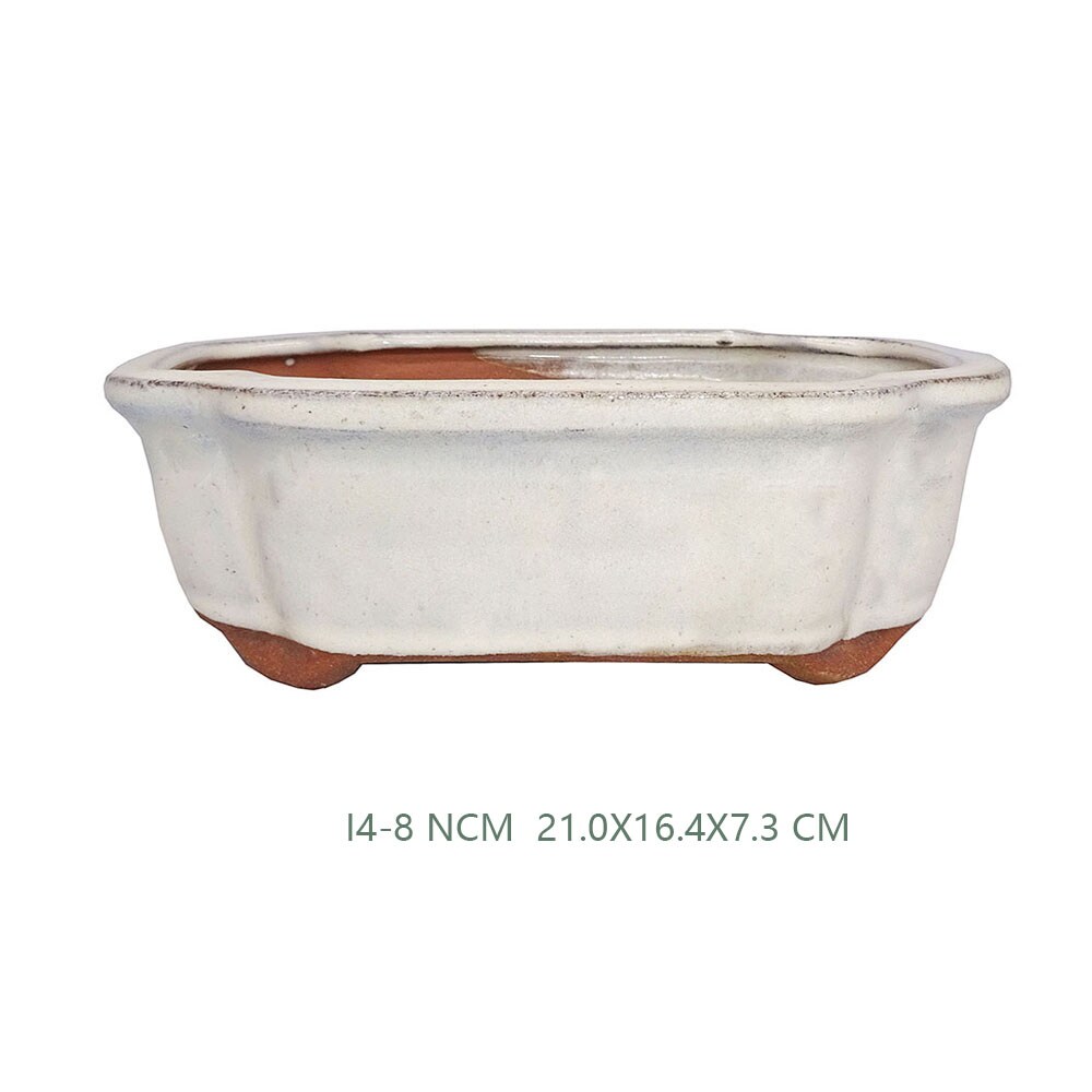 Brussel's Bonsai CGI4-8NCM Planter-Window-Box - View #4