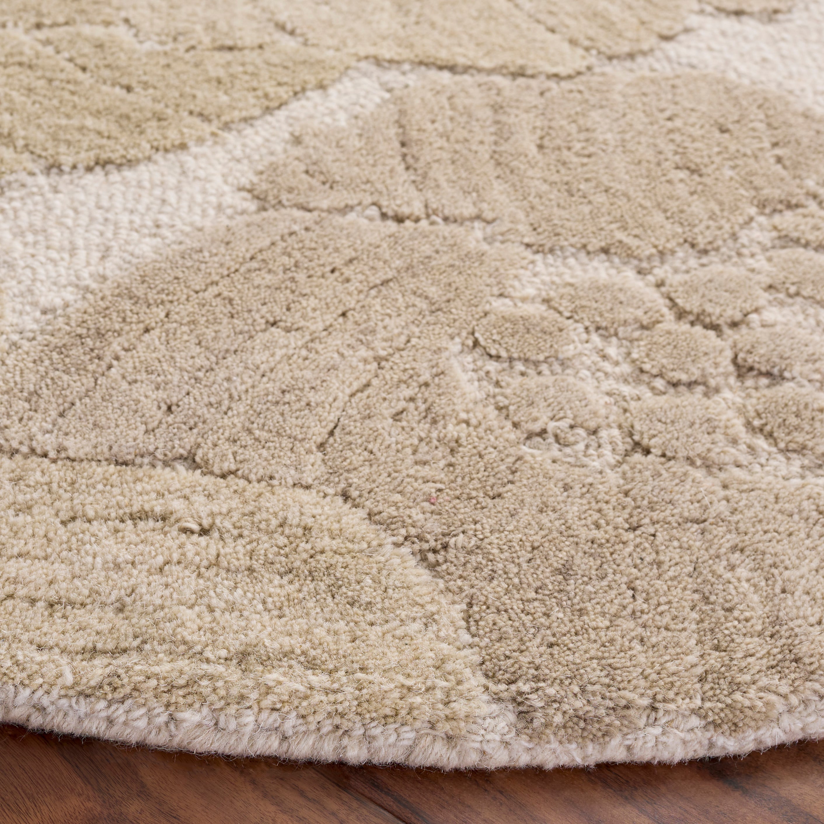 Safavieh JAR467F-6R rugs - View #3