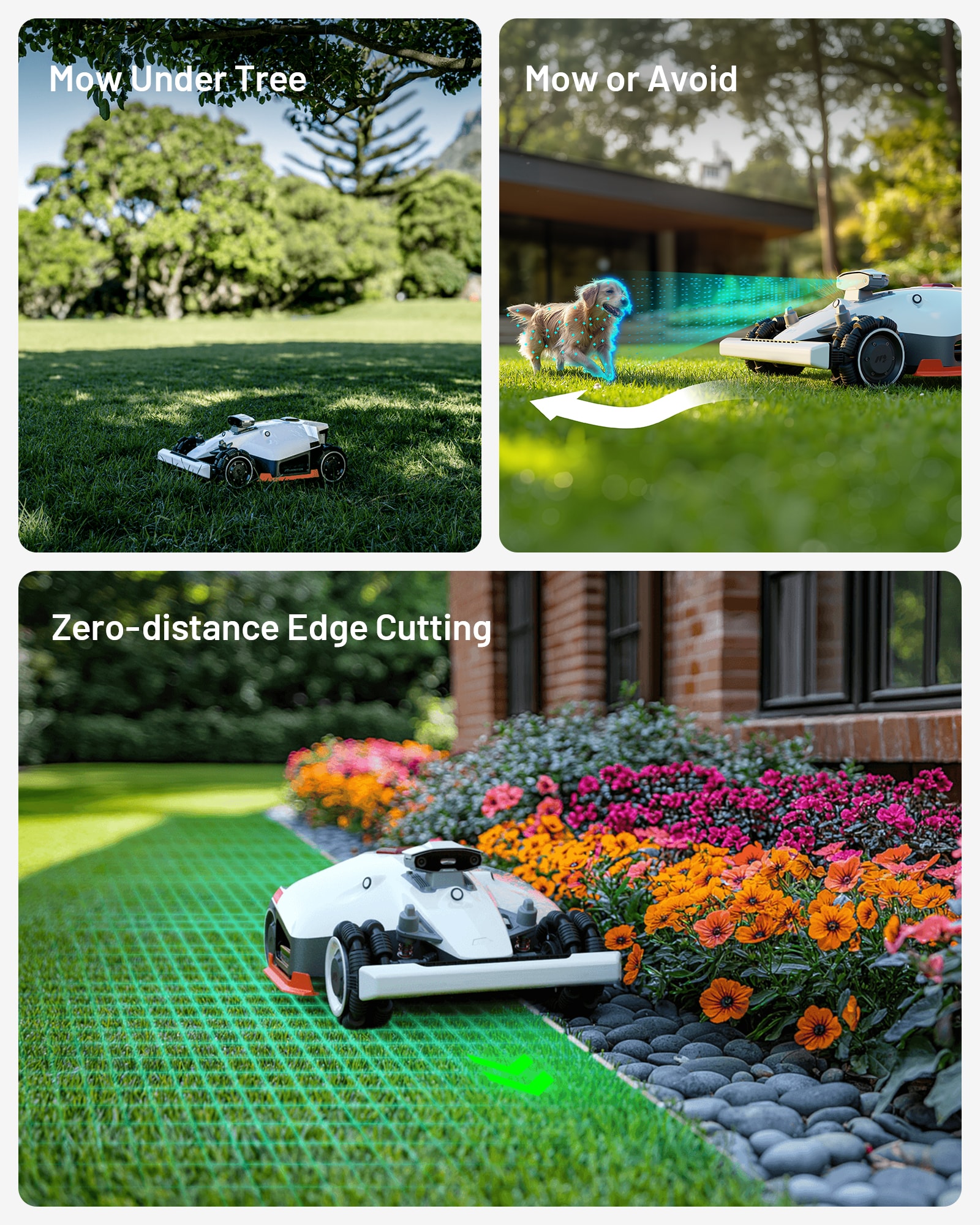 MAMMOTION LUBA 2 AWD 5000HX Robotic-Mowers - View #6