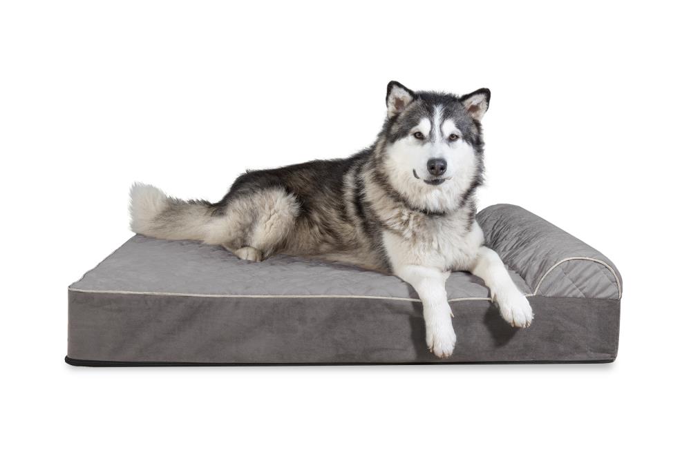 Enclosed dog bed store large