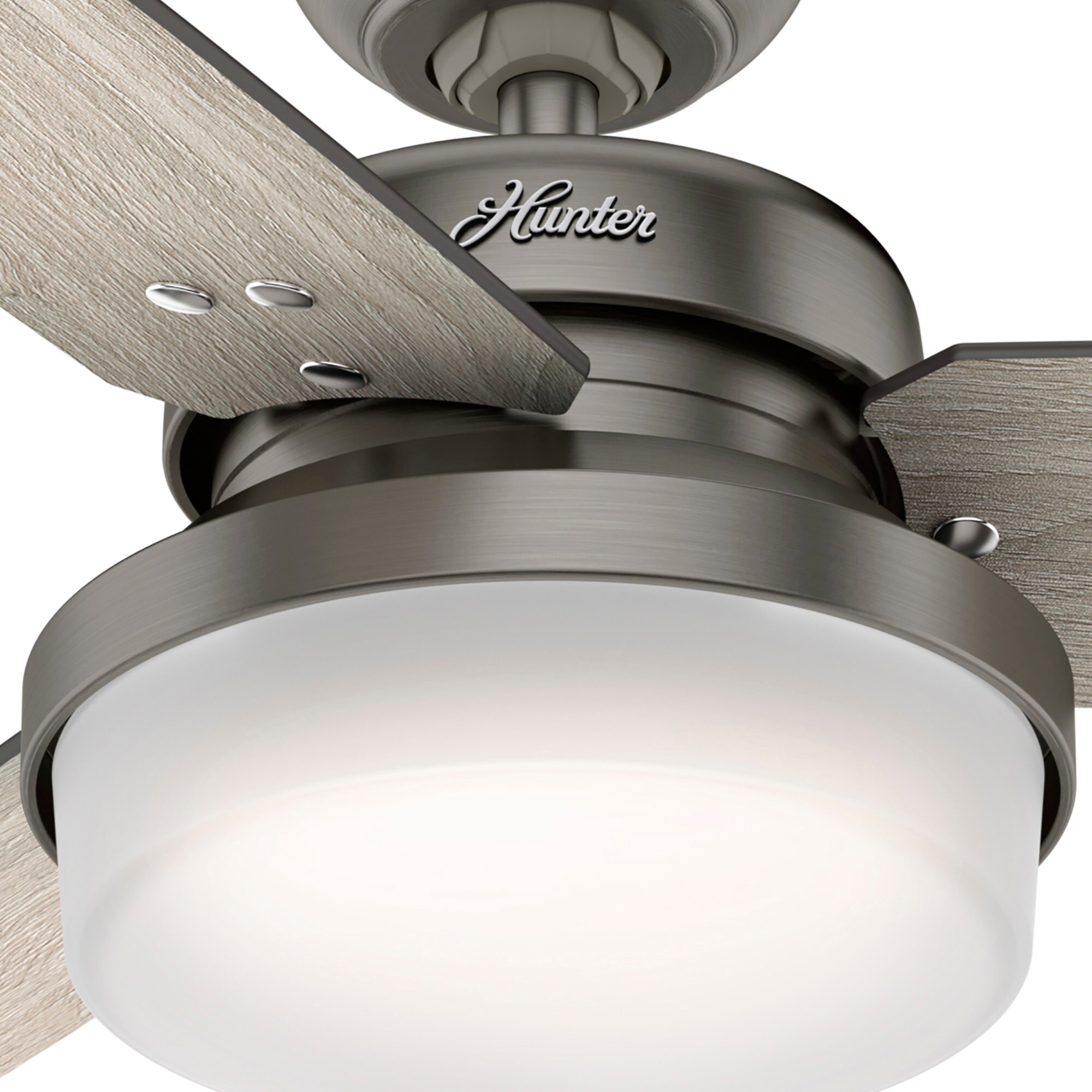Hunter 50393 Ceiling-Fans - View #13