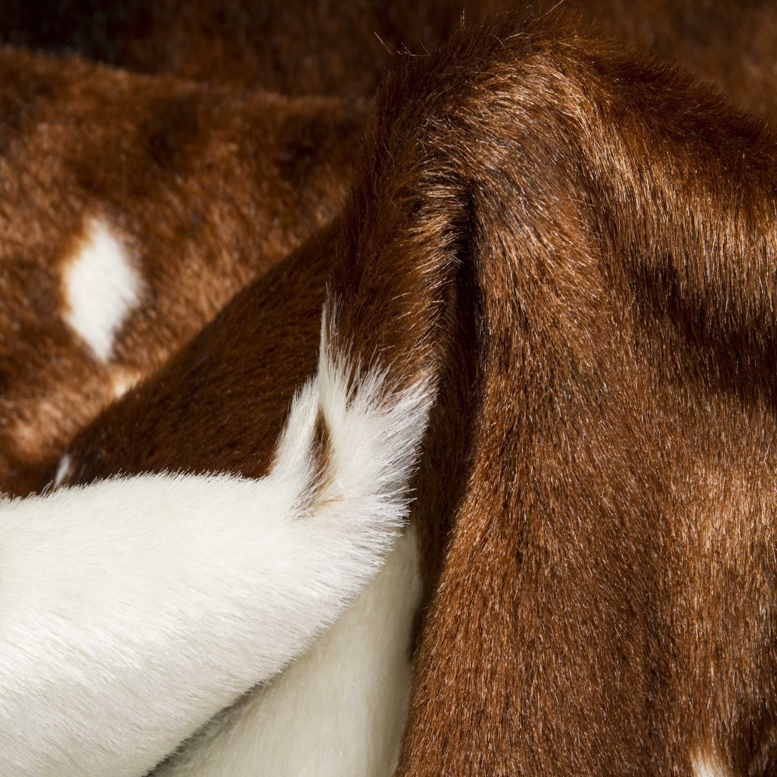 HomeRoots 294239 rugs - View #3